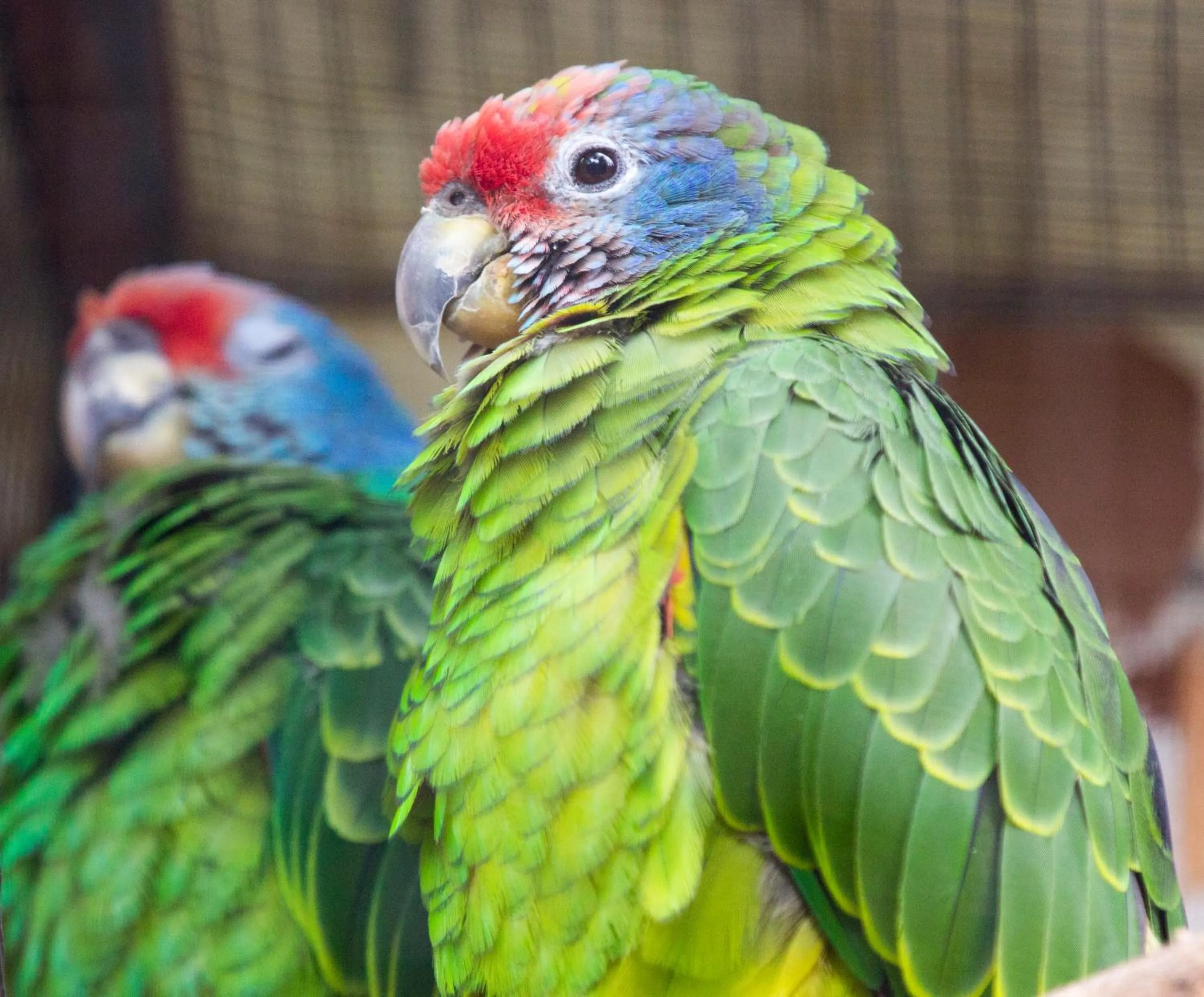 Grand Hôtel Saint-Aignan