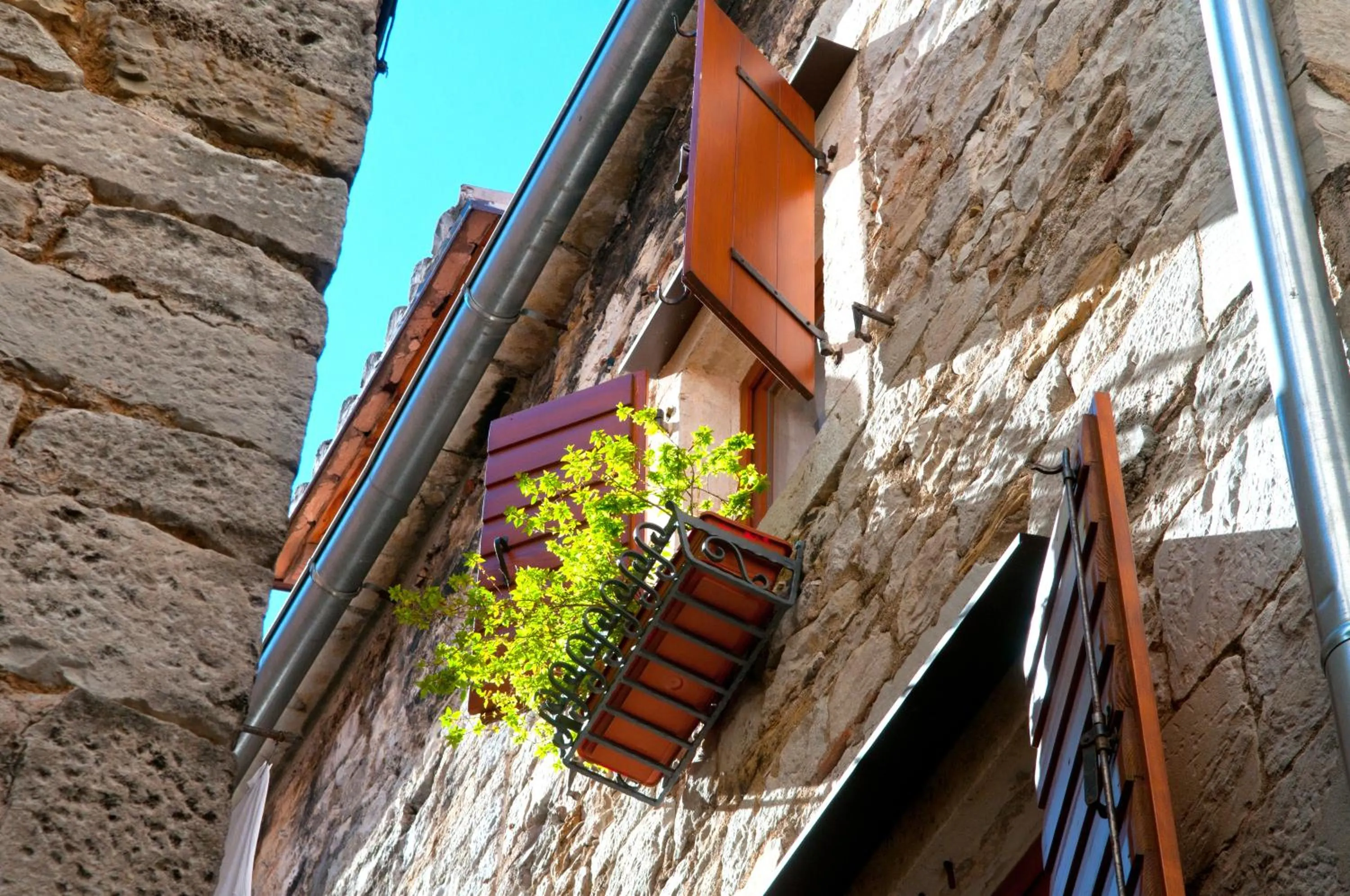 Facade/entrance in Apartments Salvezani