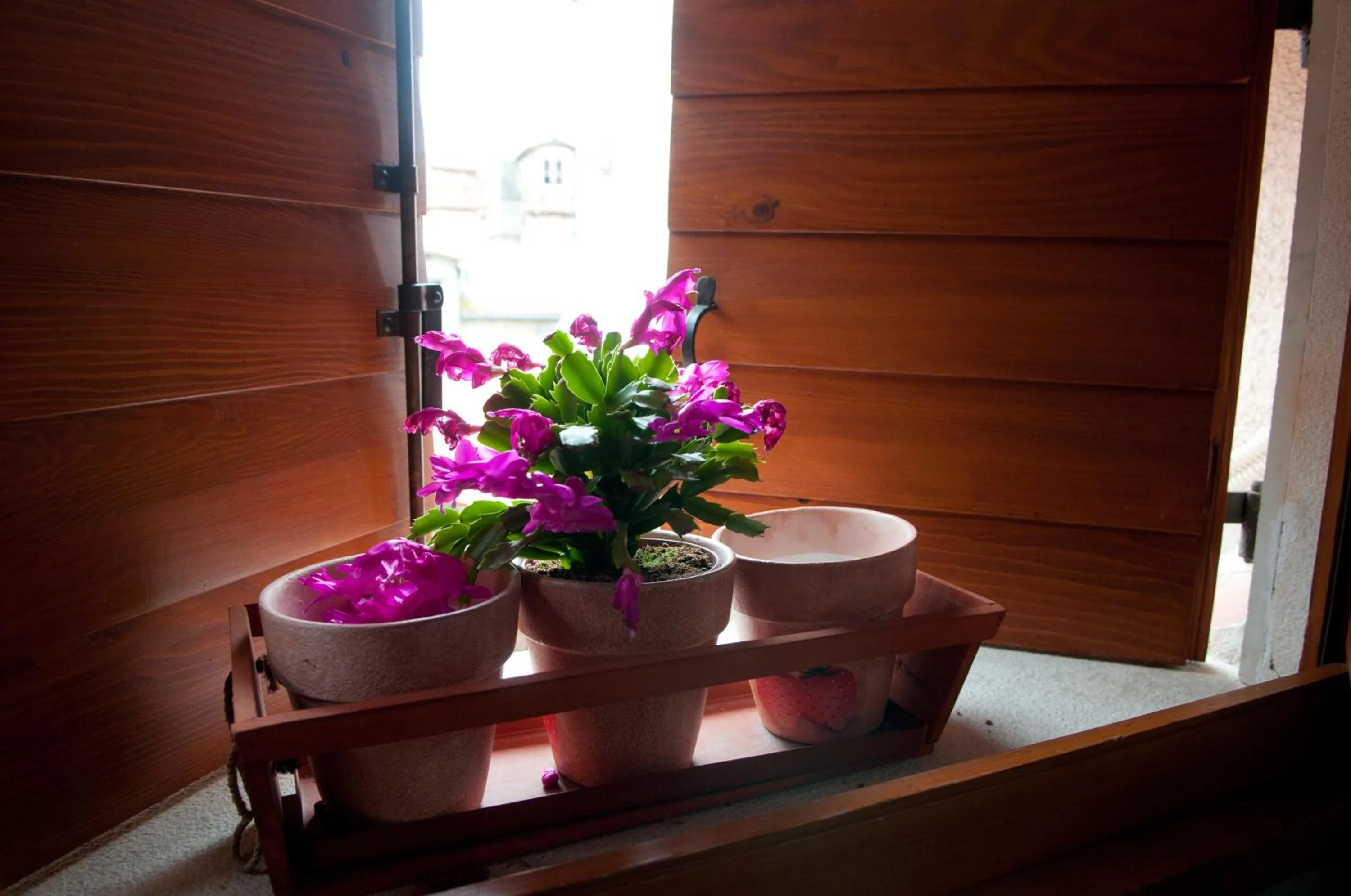 View (from property/room) in Apartments Salvezani