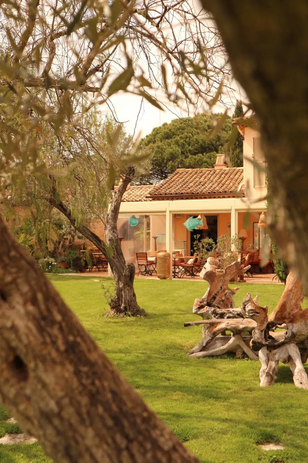 Garden in Hotel La Garbine