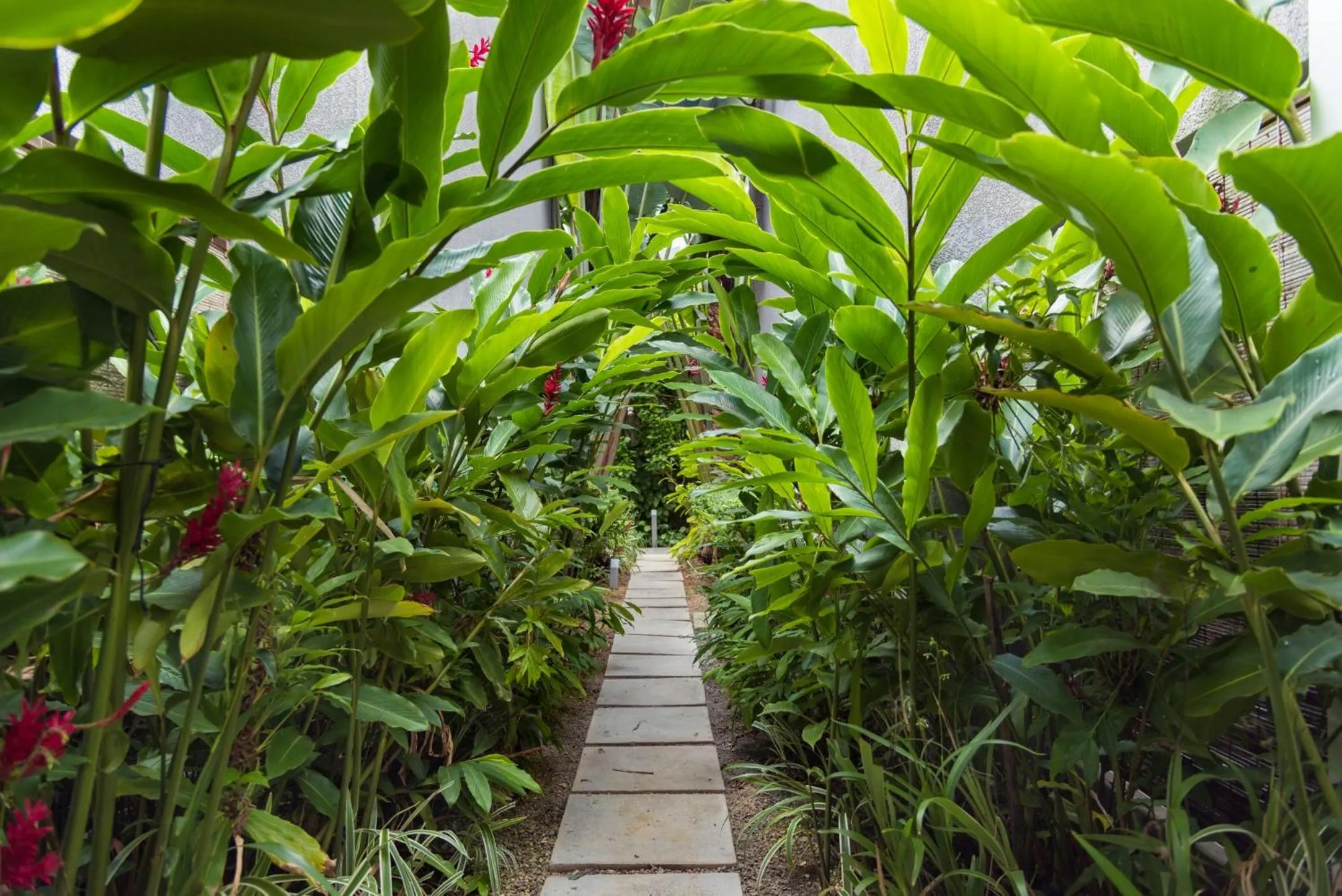 Garden view in Mon Choisy Beach R.