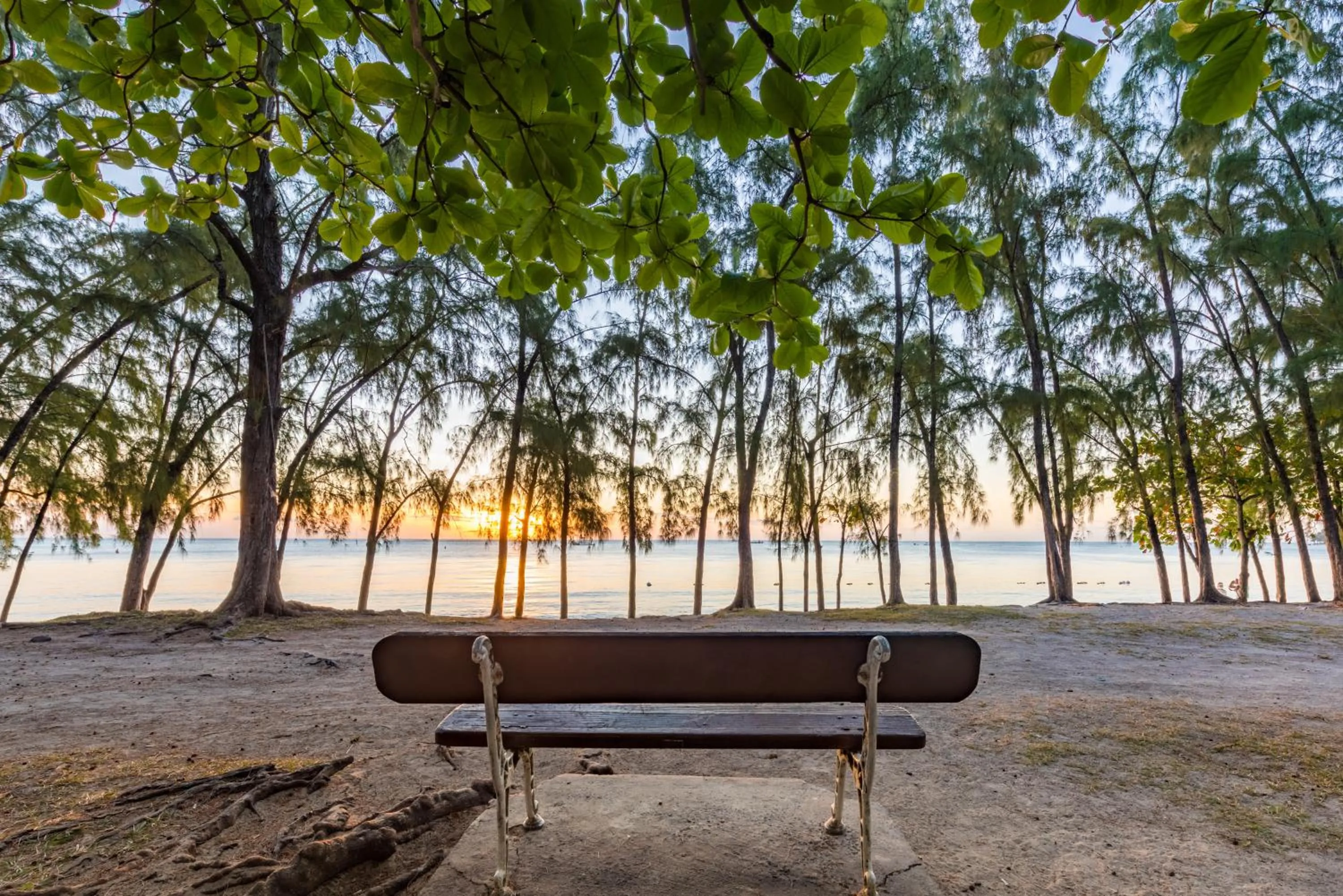Beach in Mon Choisy Beach R.