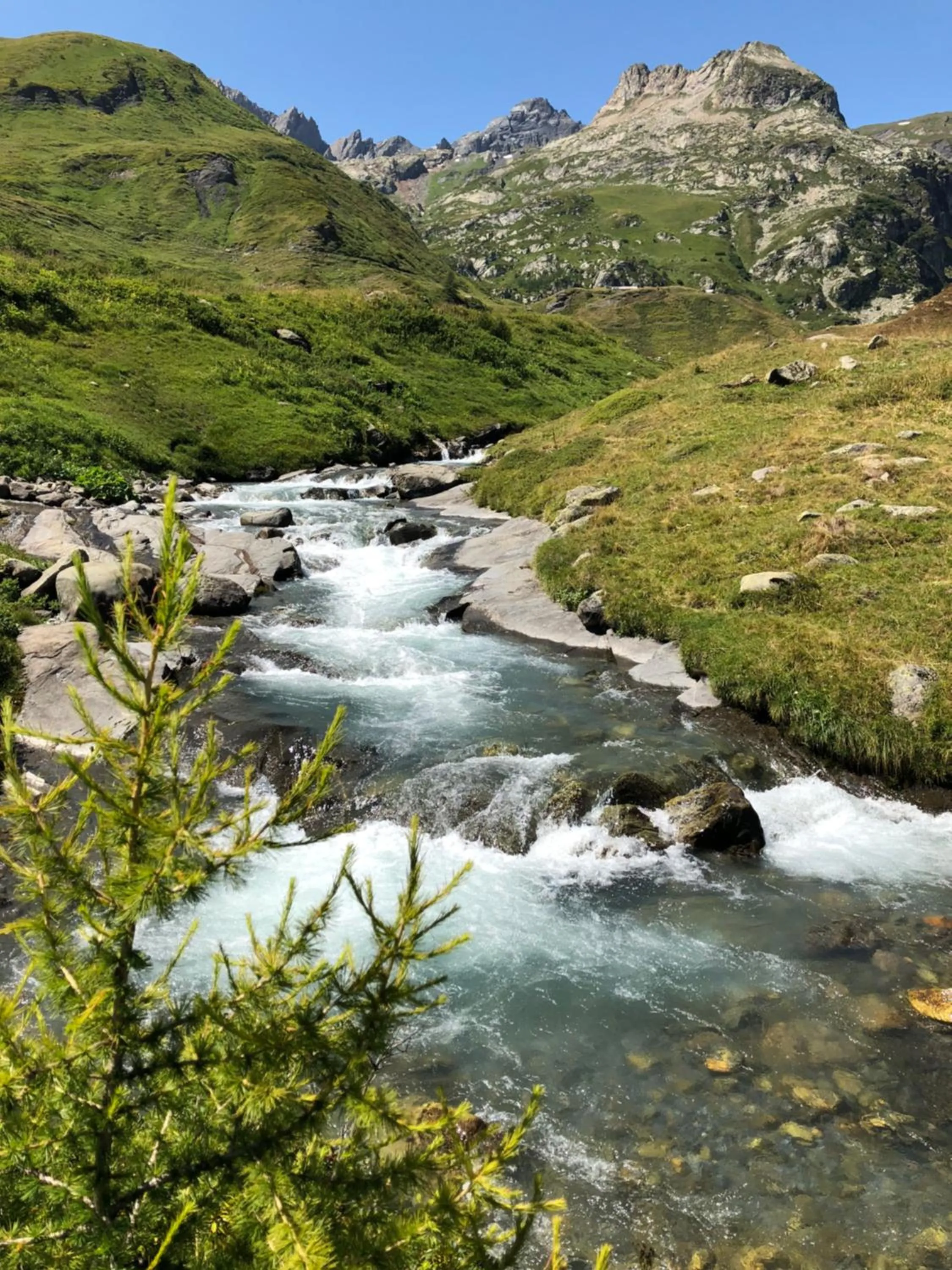 Natural landscape in Hotel Edelweiss