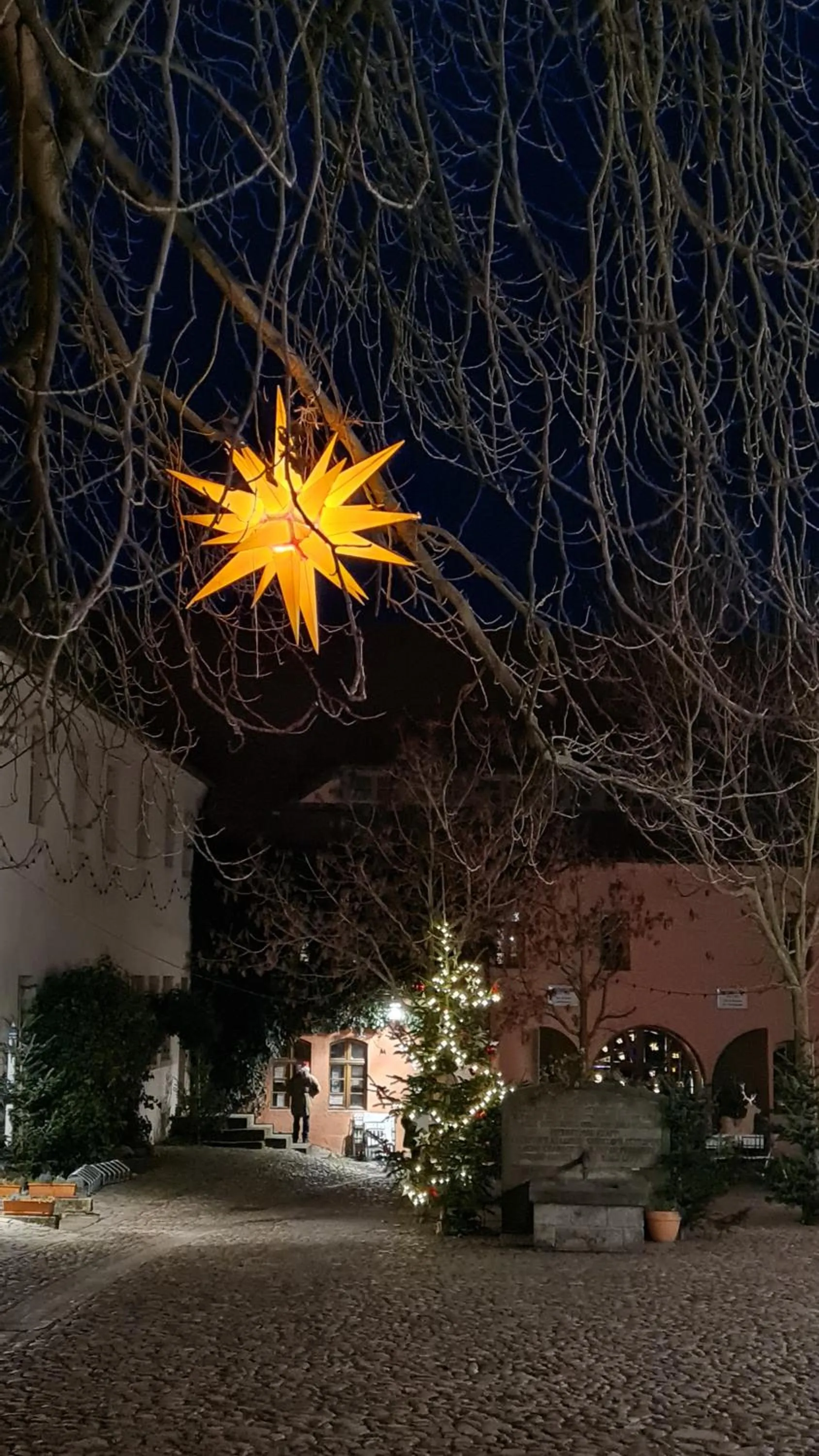 Patio in Hotel Cranach-Herberge City Centre