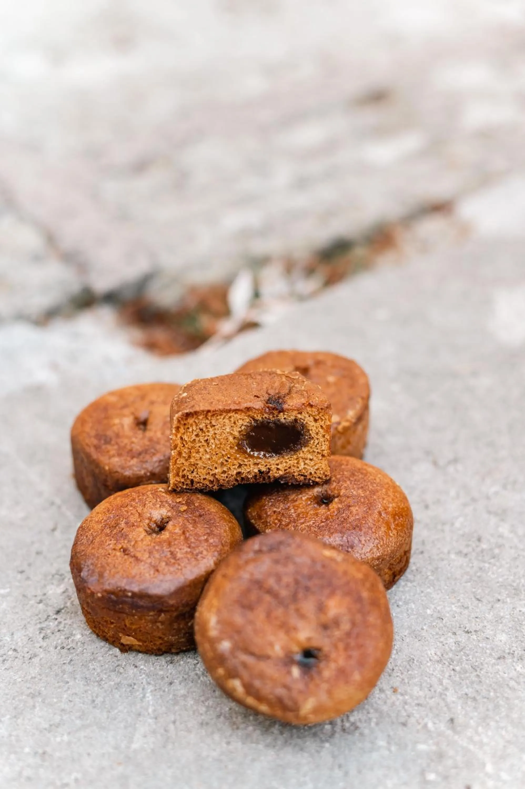 Activities in La Maison Forte