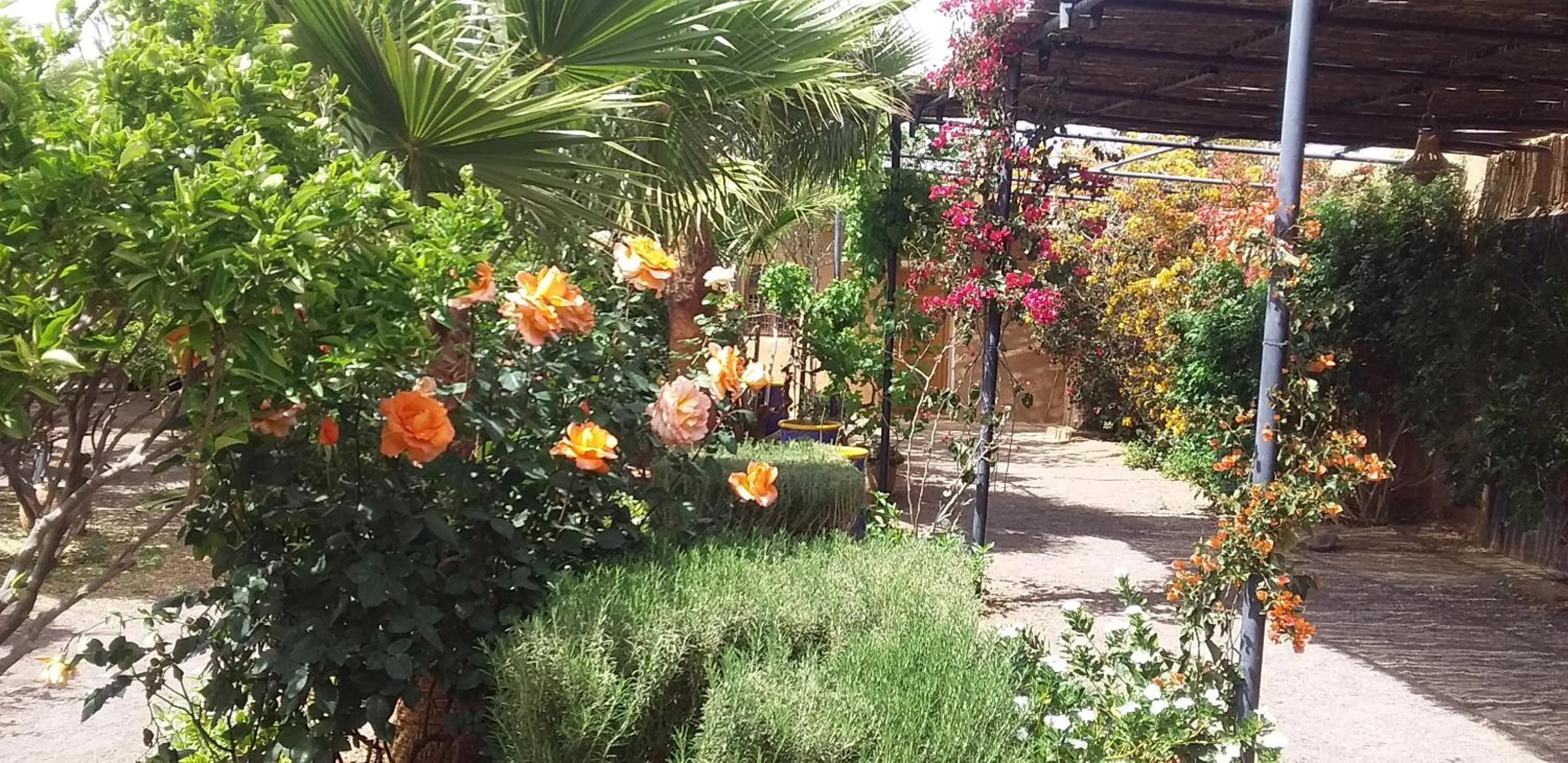 Garden in Kasbah Auberge Bassou