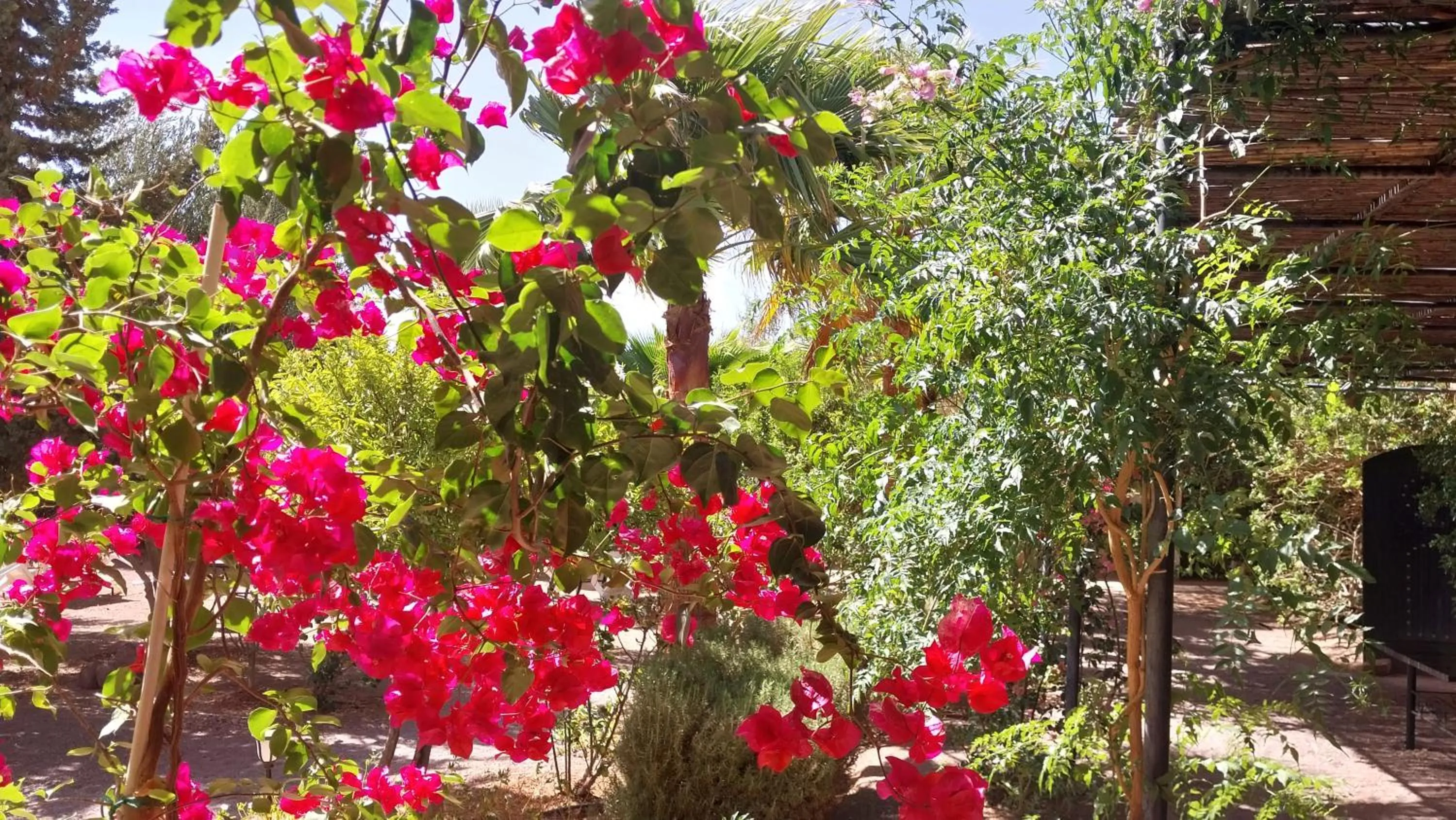 Kasbah Auberge Bassou