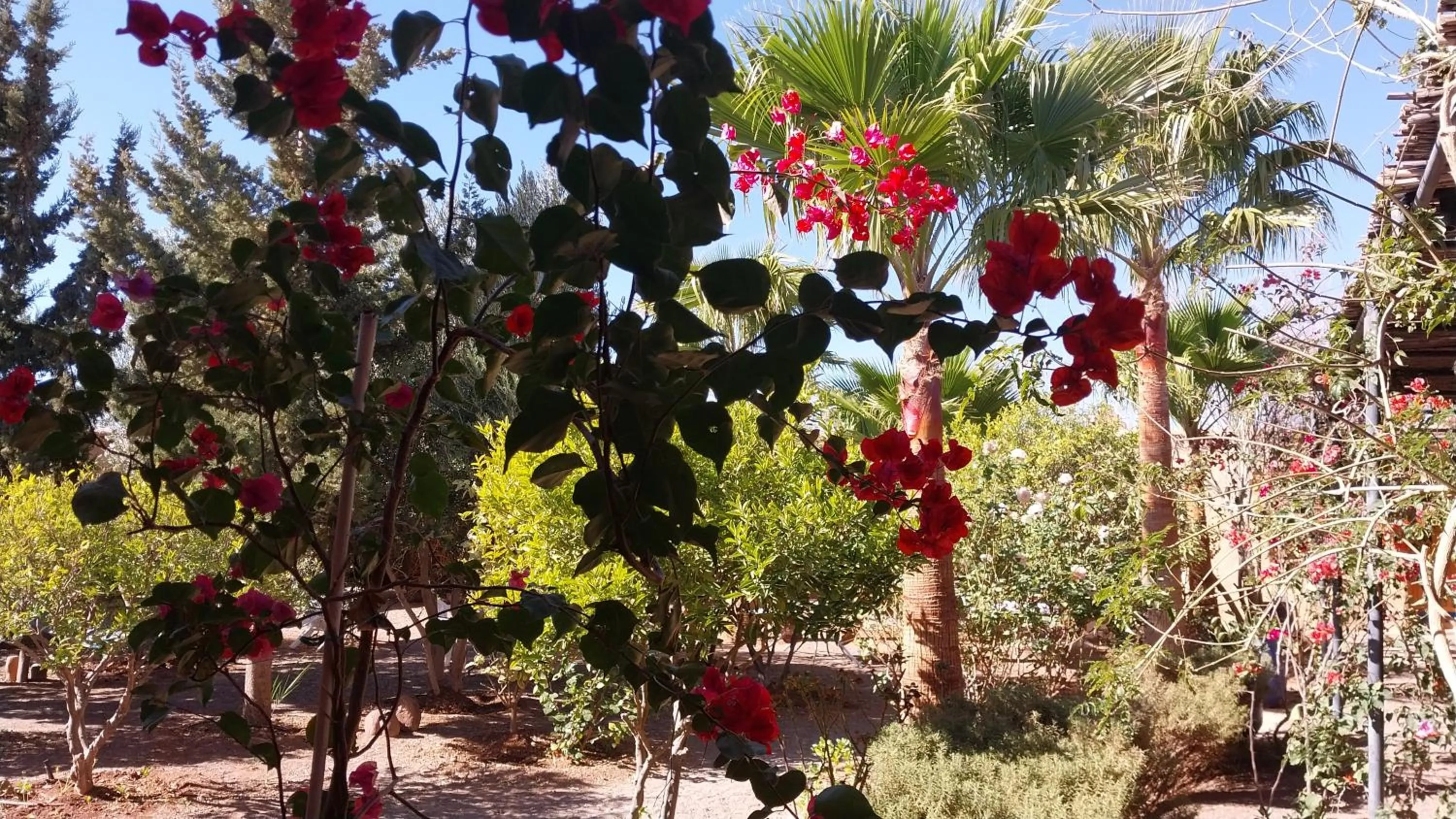 Kasbah Auberge Bassou