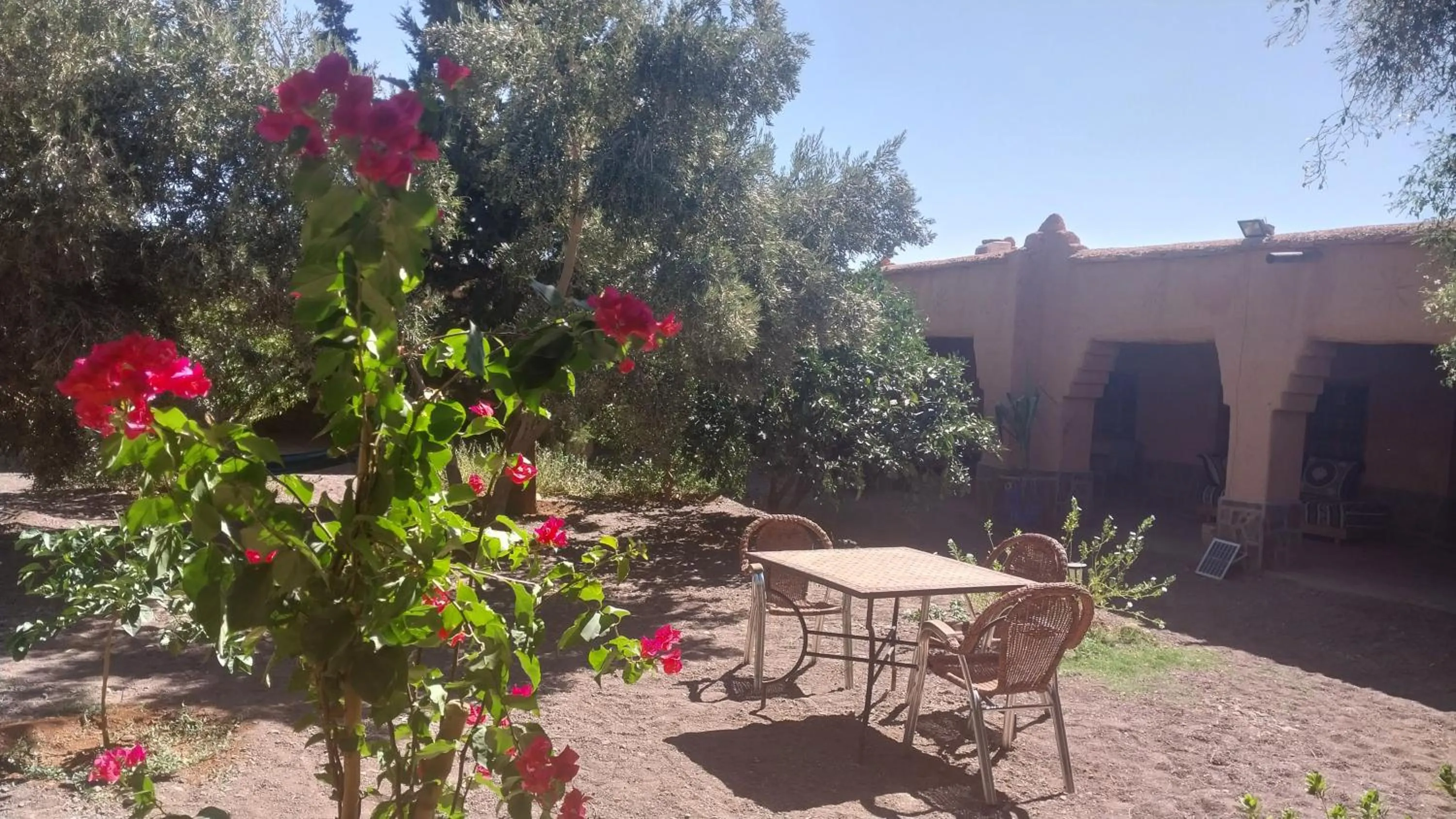 Kasbah Auberge Bassou