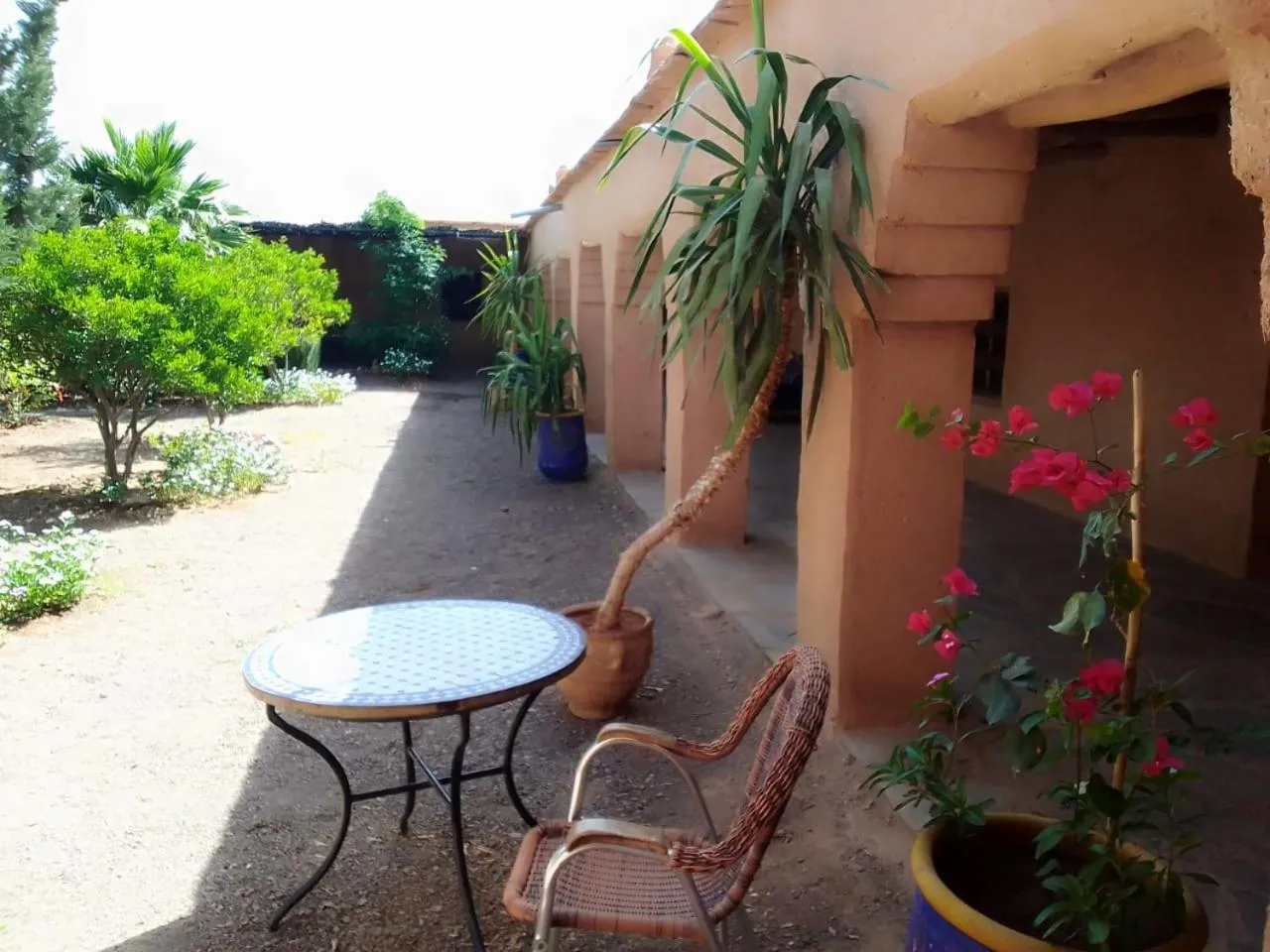 Patio in Kasbah Auberge Bassou