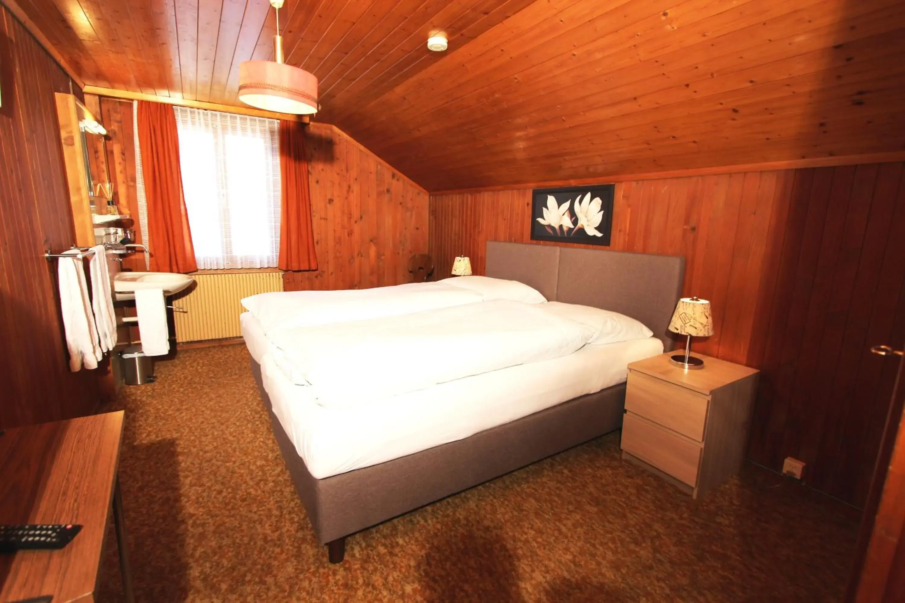 Standard Twin Room in Hotel-Restaurant Alpina Standard Twin Room in Hotel-Restaurant Alpina