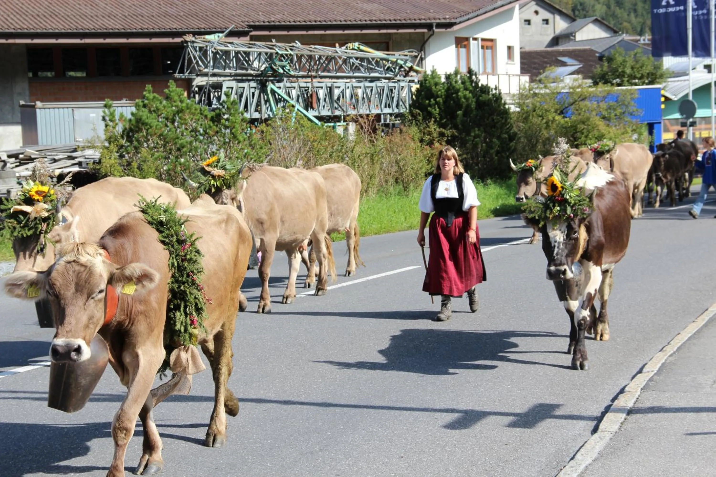 People in Hotel-Restaurant Alpina