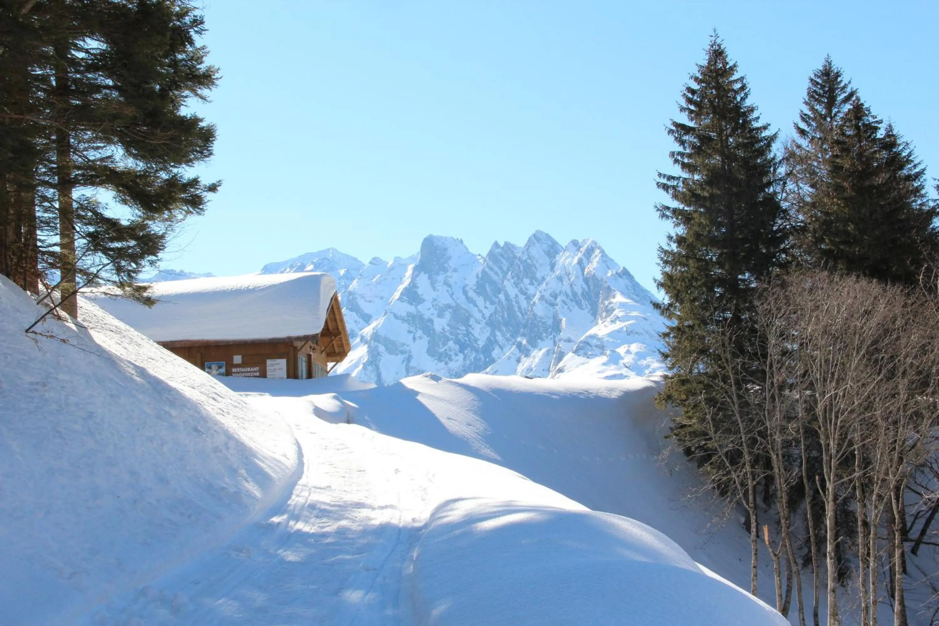 Natural landscape in Hotel-Restaurant Alpina