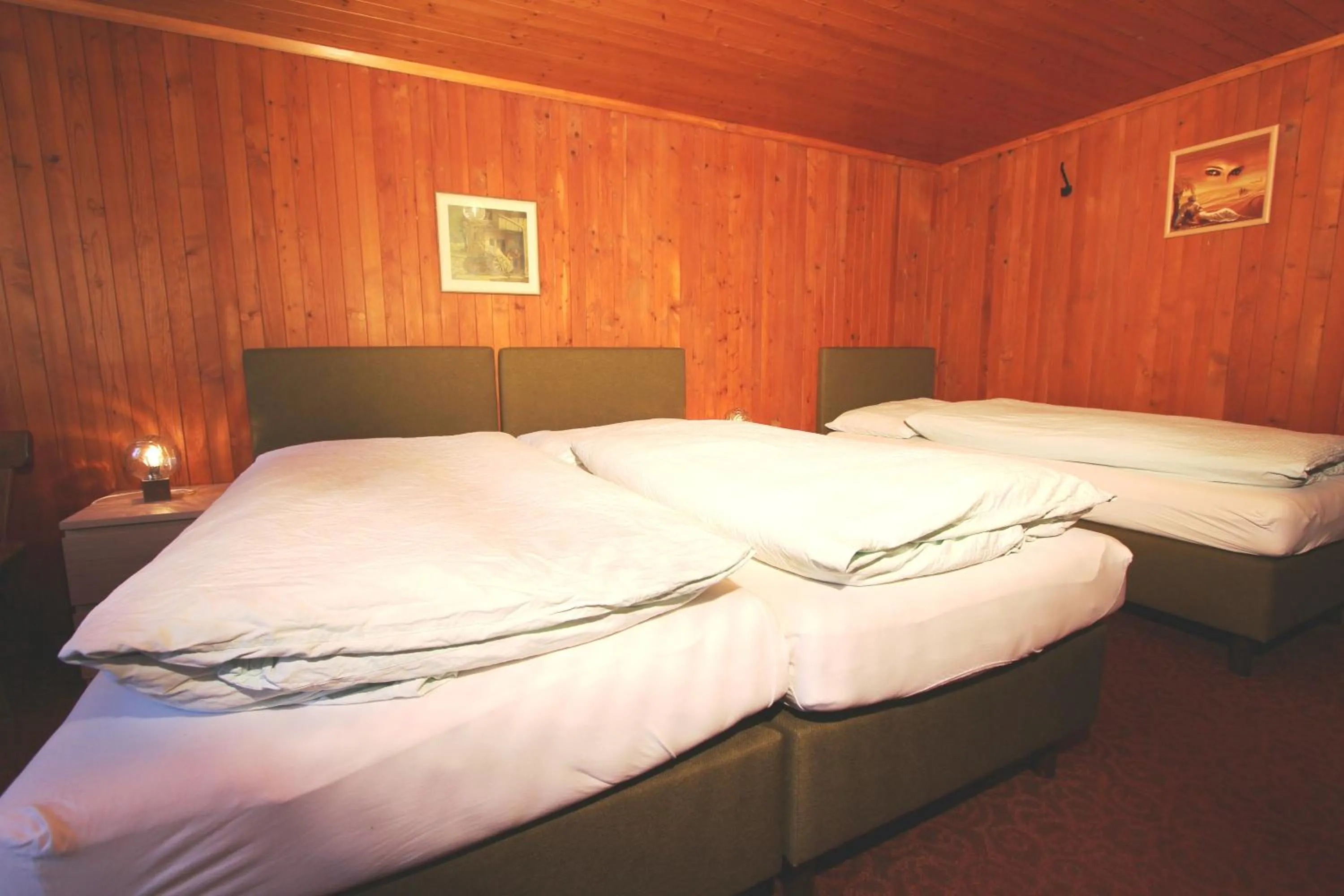 Photo of the whole room, Bed in Hotel-Restaurant Alpina