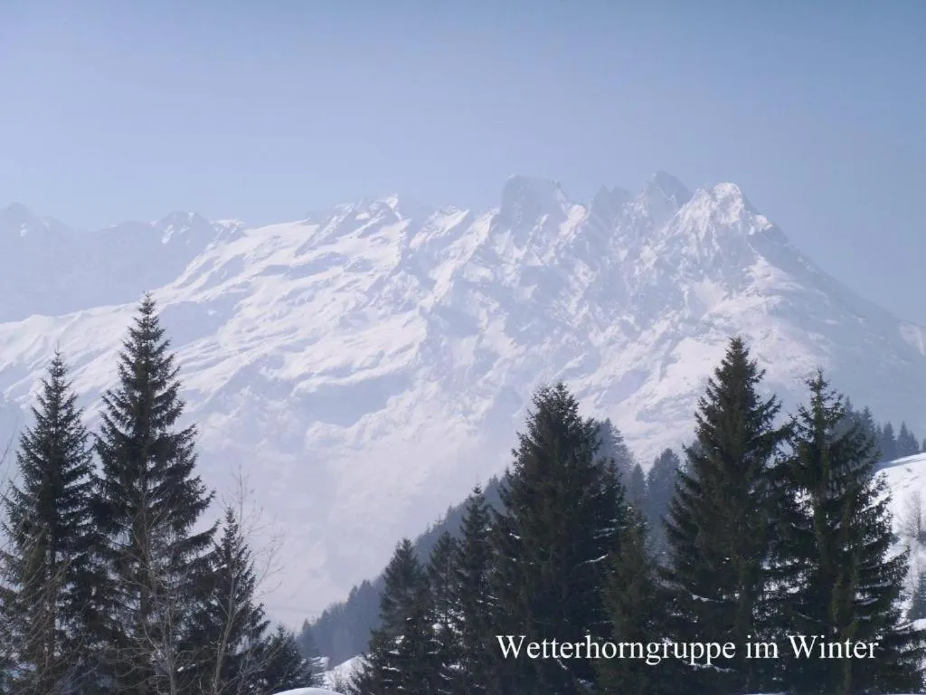 Mountain view in Hotel-Restaurant Alpina