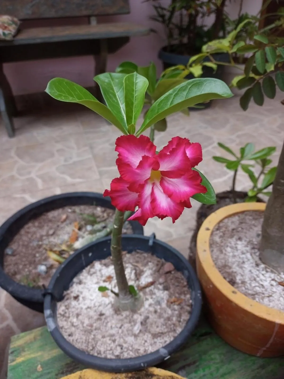 Pousada Betel - Moradas Familia Betel