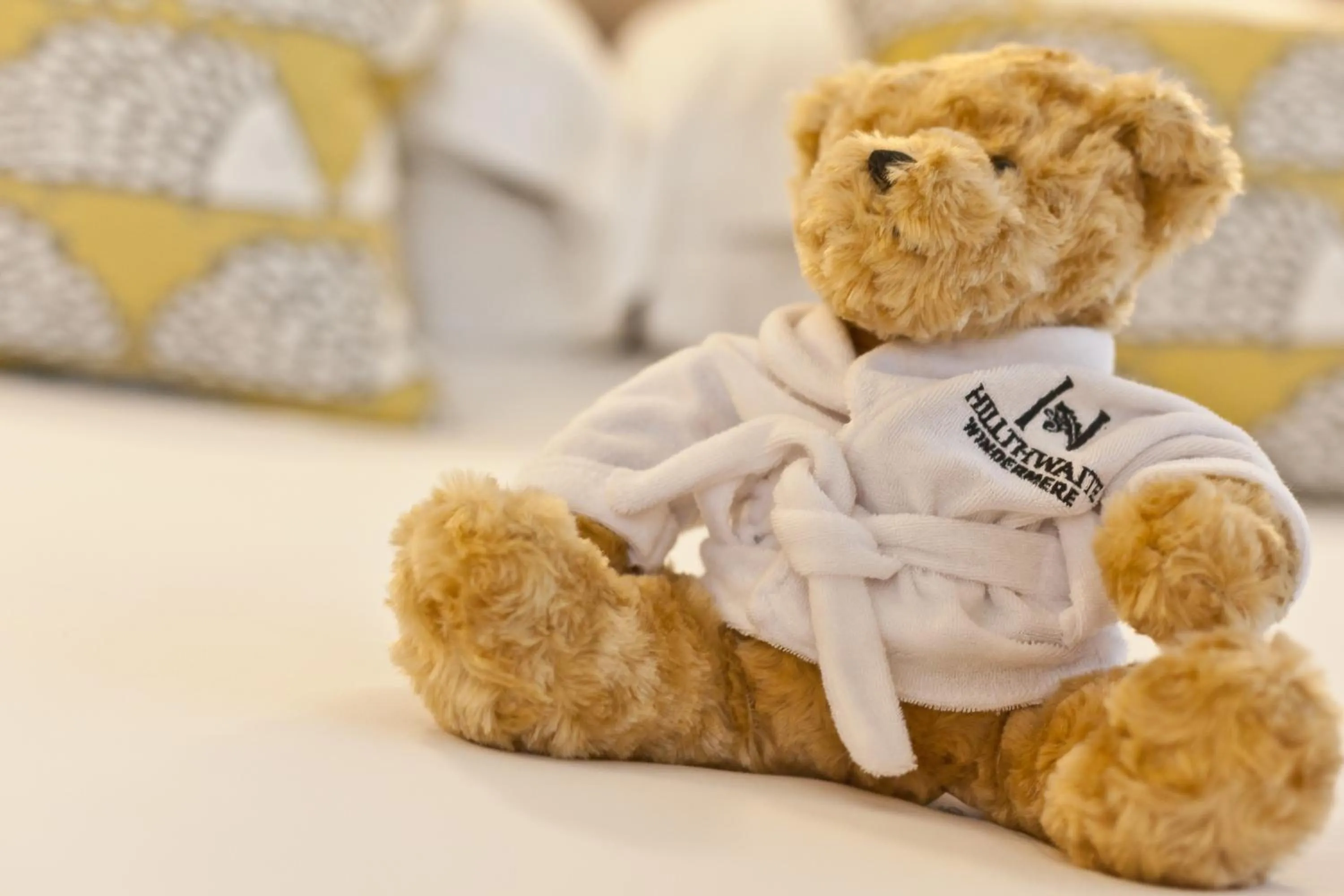 Decorative detail in Windermere Hillthwaite Hotel