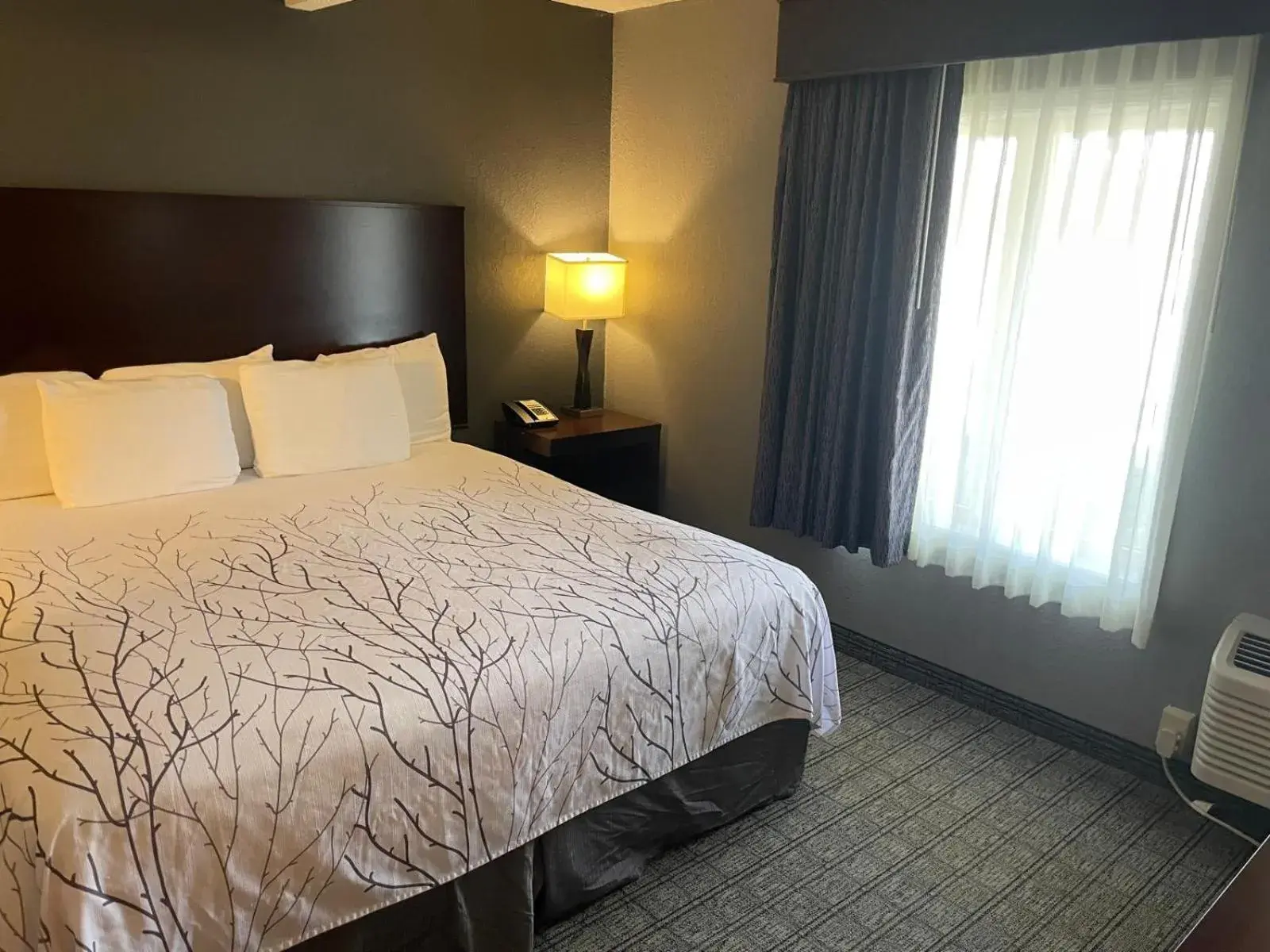 King Bed Suite in Eastlake Suites Hotel & Conference Center By OYO Urbana King Bed Suite in Eastlake Suites Hotel & Conference Center By OYO Urbana