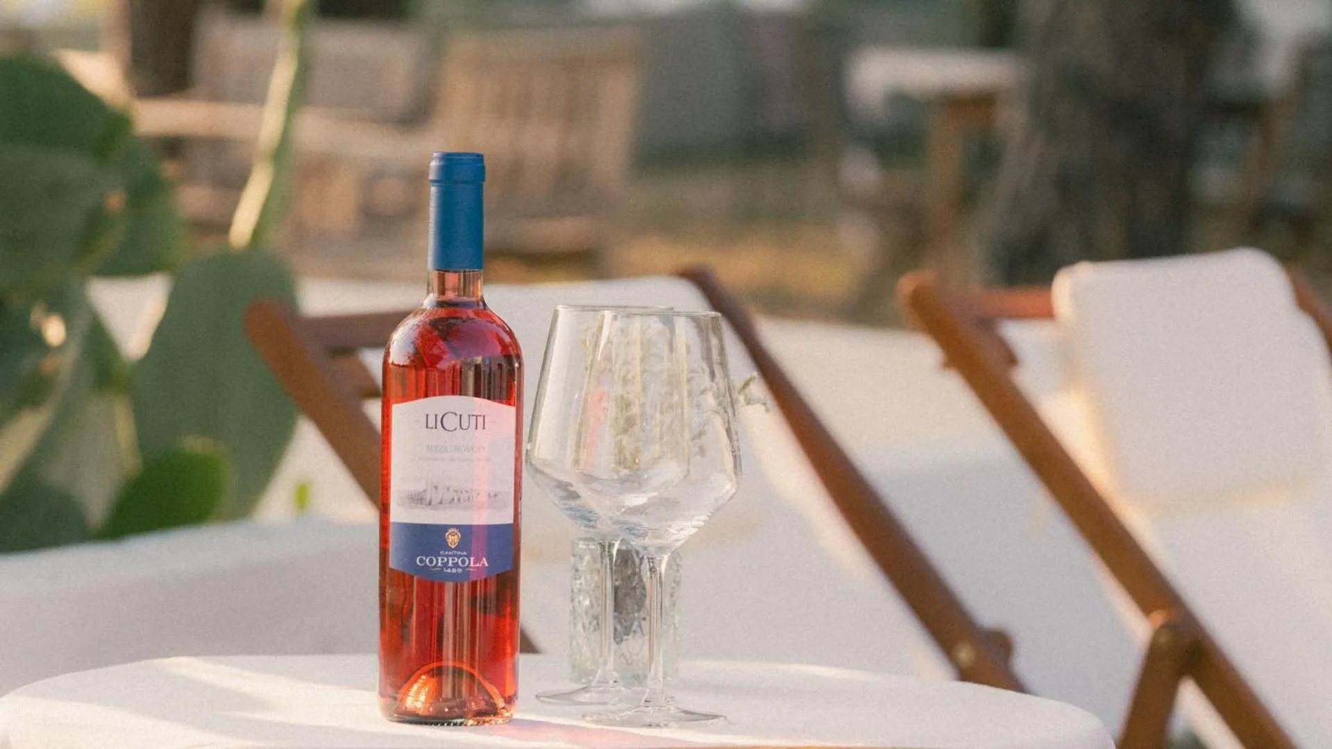 Drinks in Tenuta Doxi