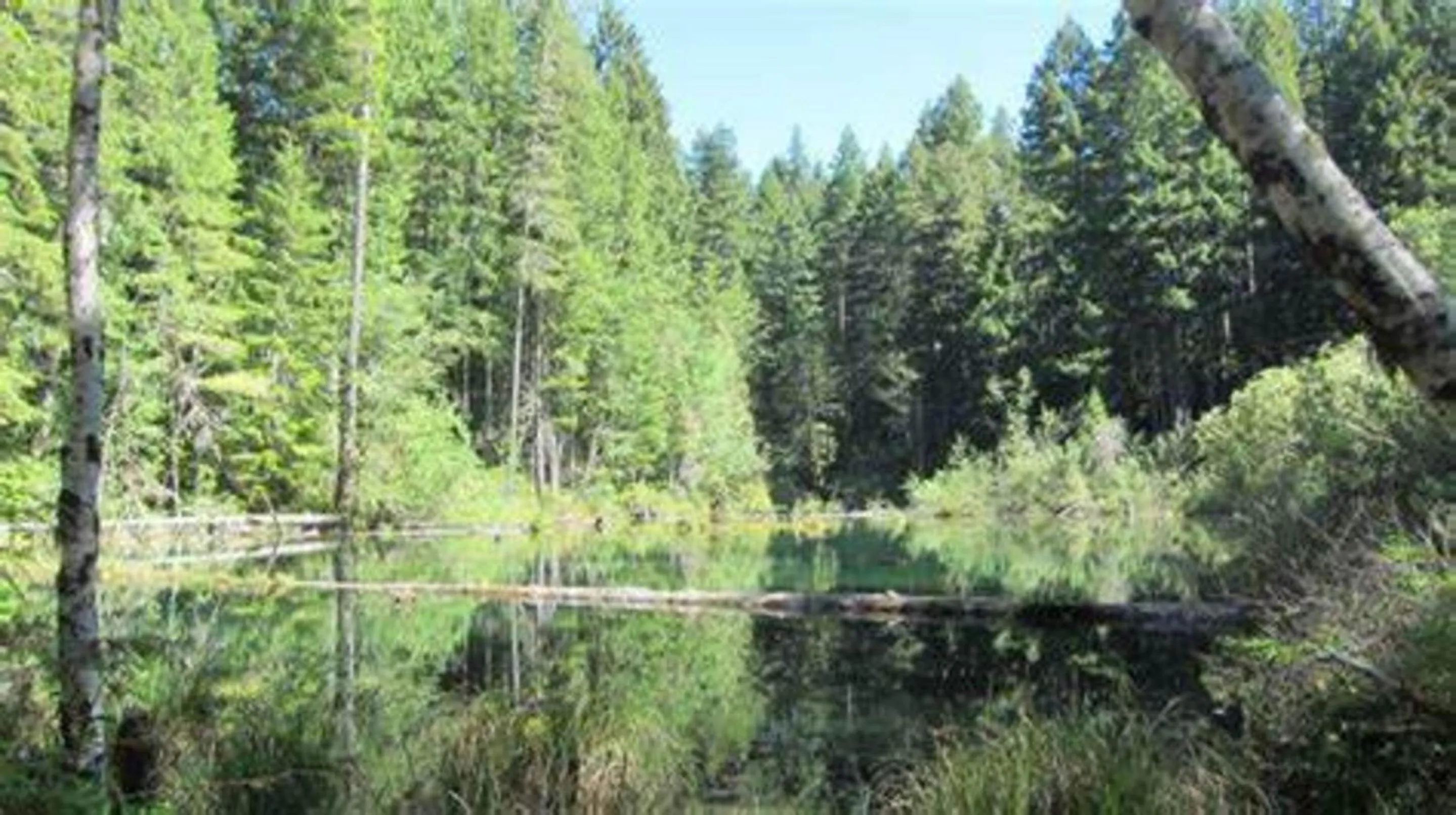 Nearby landmark in Motel 6 Hattiesburg, MS