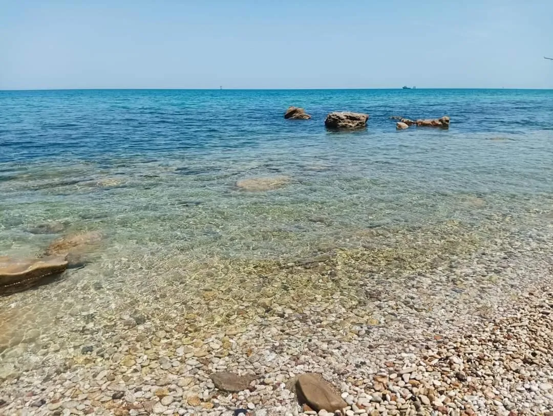 Activities in Al Faro Bianco B&B e Residence con parcheggio