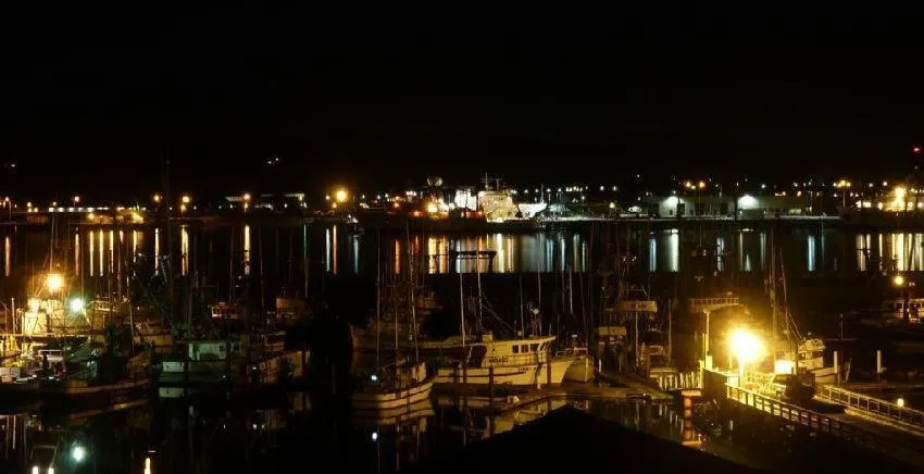 Night in Summer Wind Budget Motel