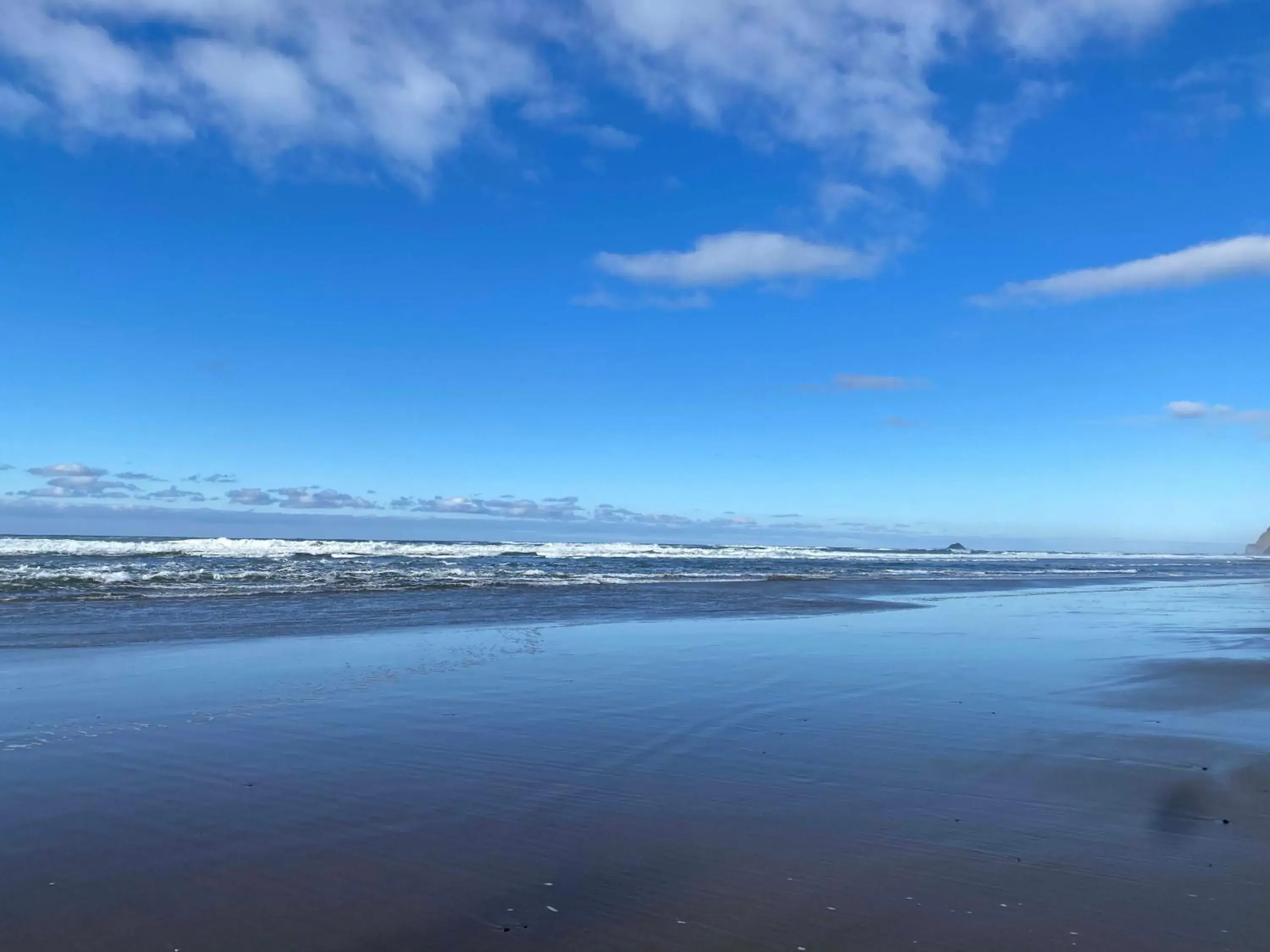 View (from property/room) in Seagull Beachfront Inn View (from property/room) in Seagull Beachfront Inn