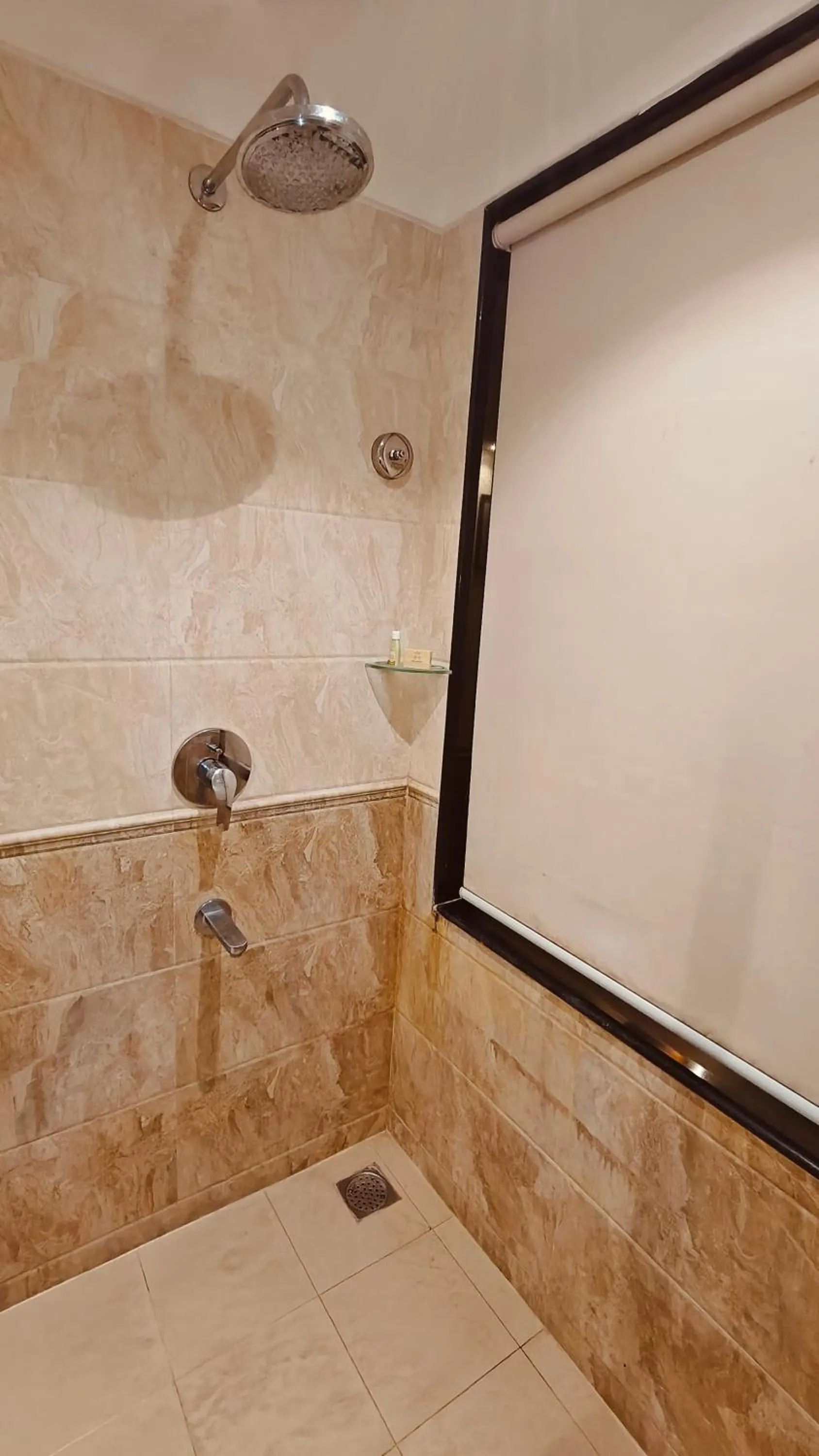 Shower in MM Legacy - A Bergamont Hotel, Kanchipuram
