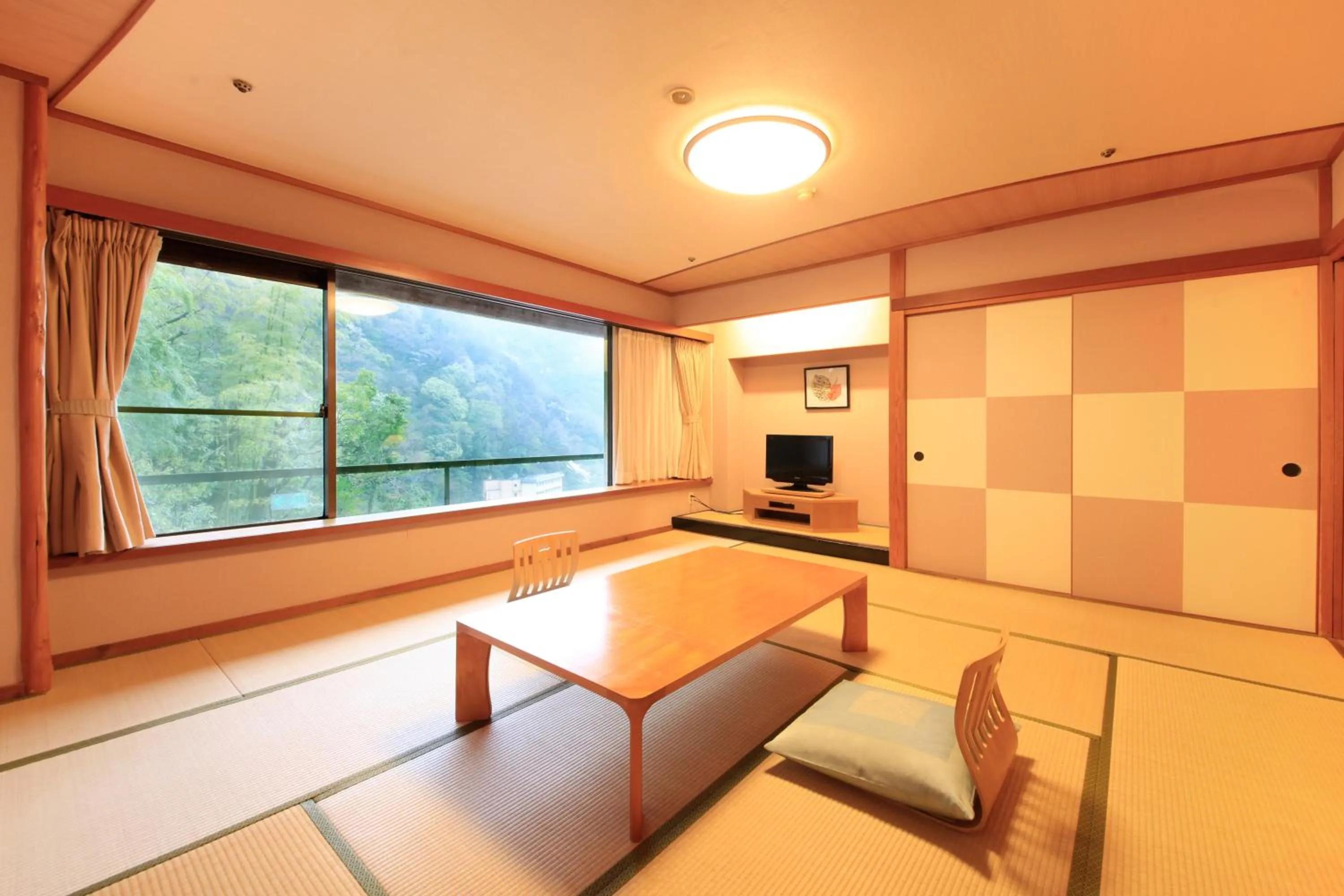 Living room in Hotel Okada