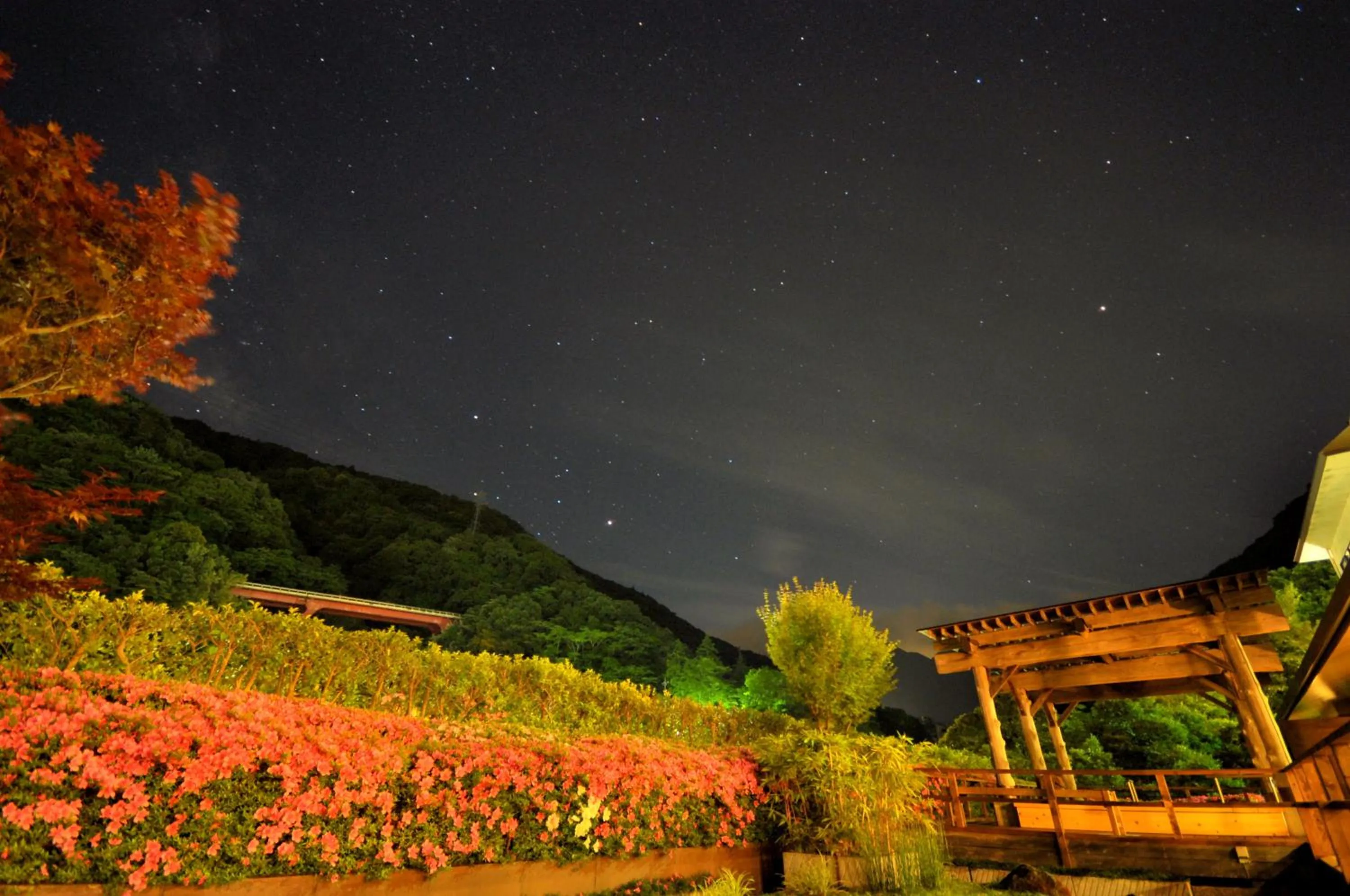 Night in Hotel Okada