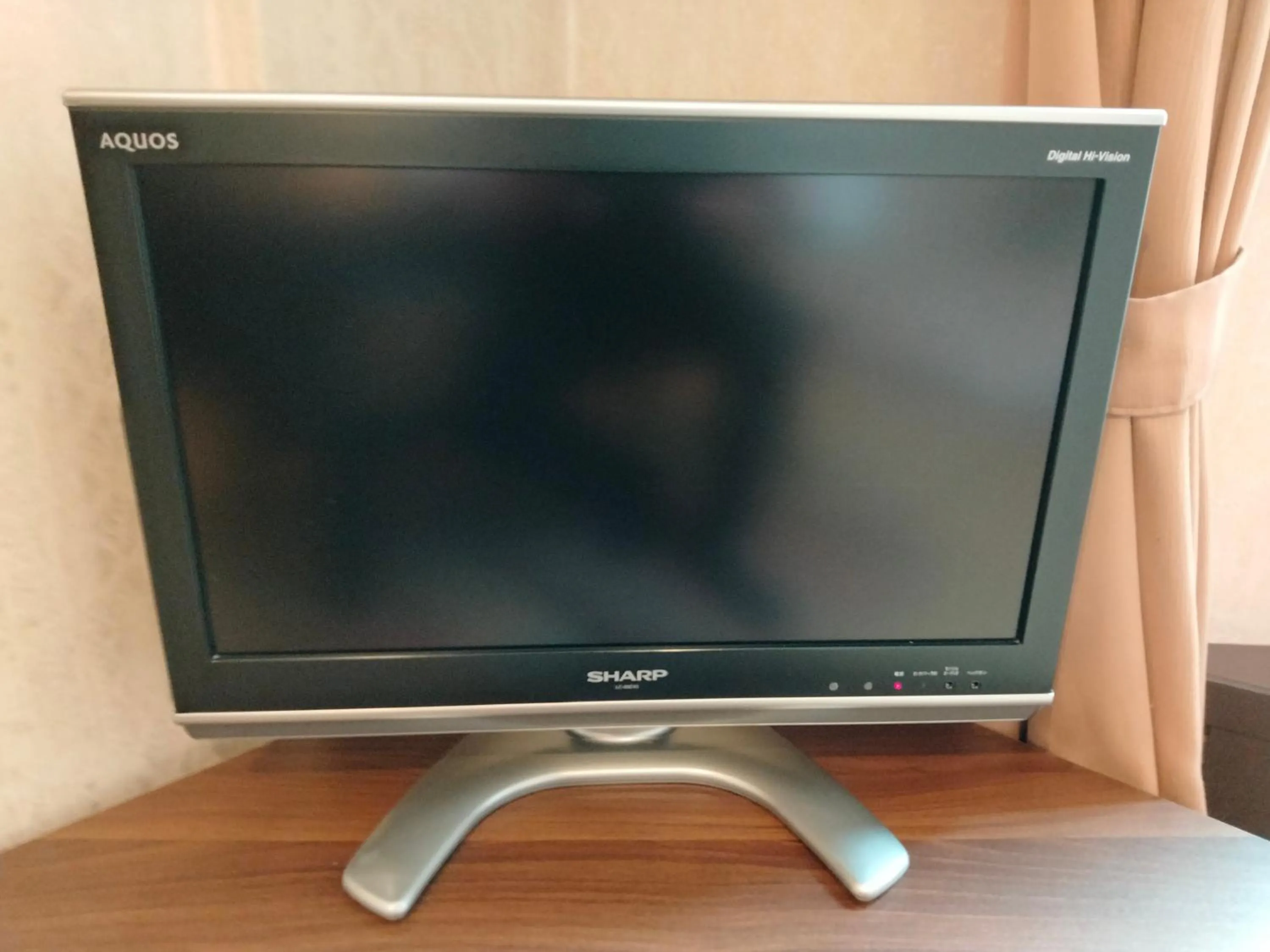 TV and multimedia in Hotel Hanakomichi