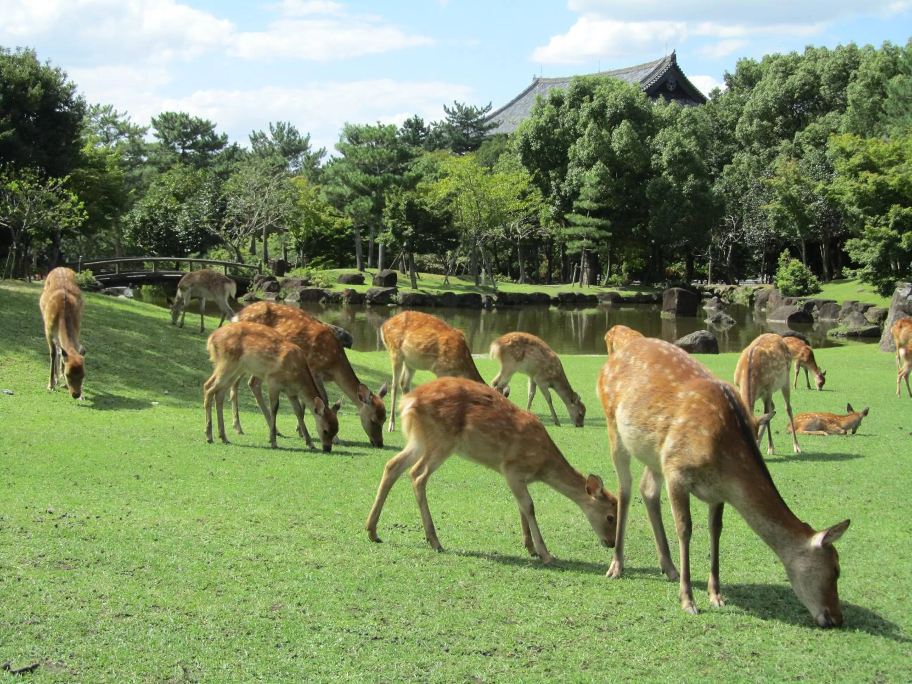 Nearby landmark in Hotel Hanakomichi