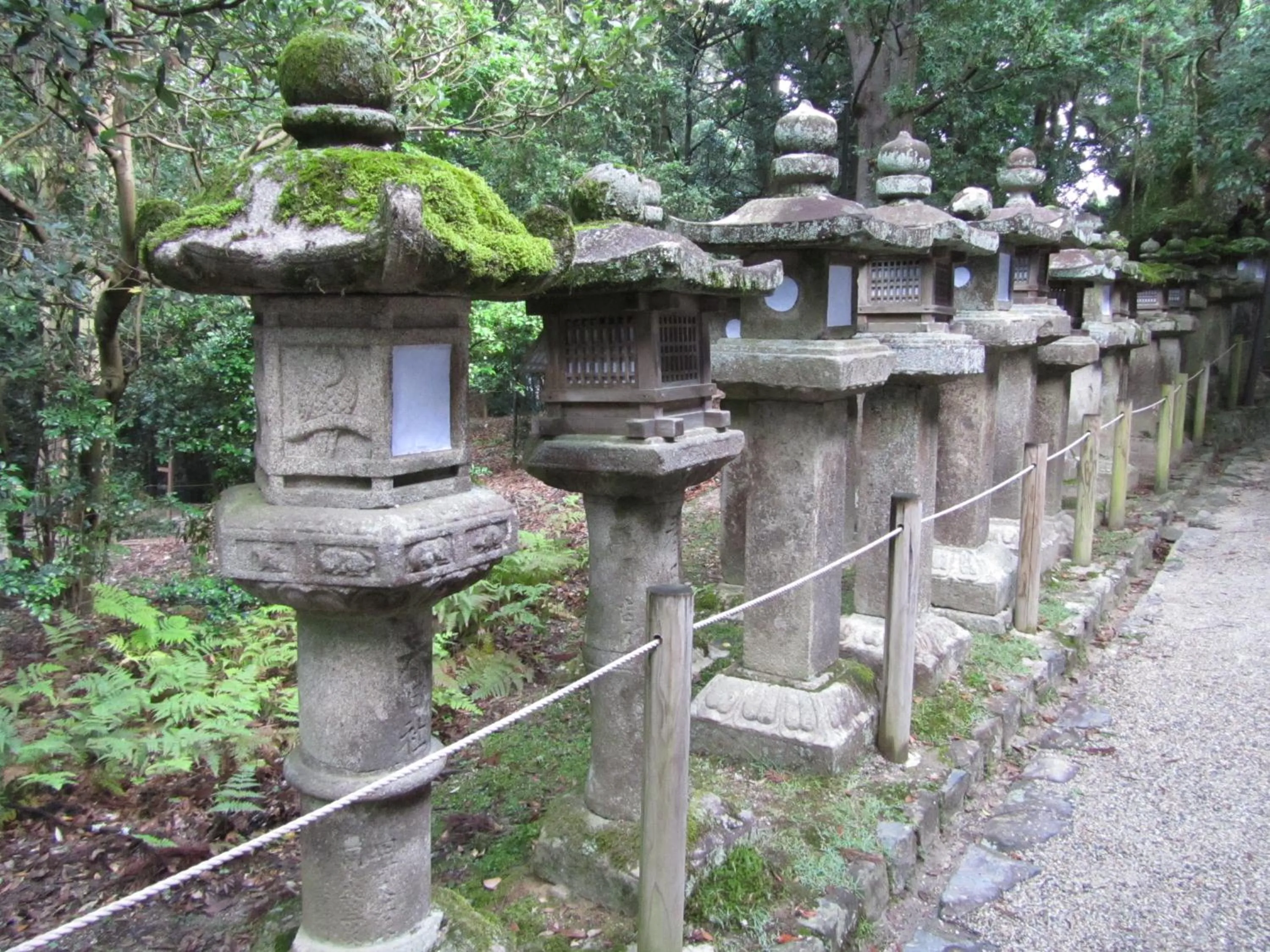 Nearby landmark in Hotel Hanakomichi