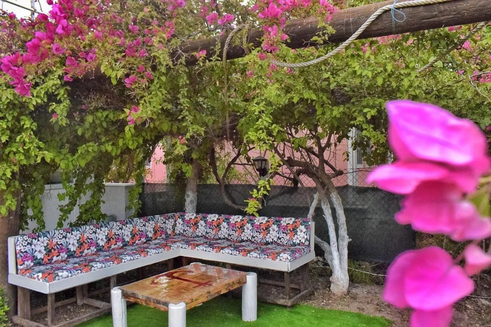 Garden in Elit Deniz Palamutbükü