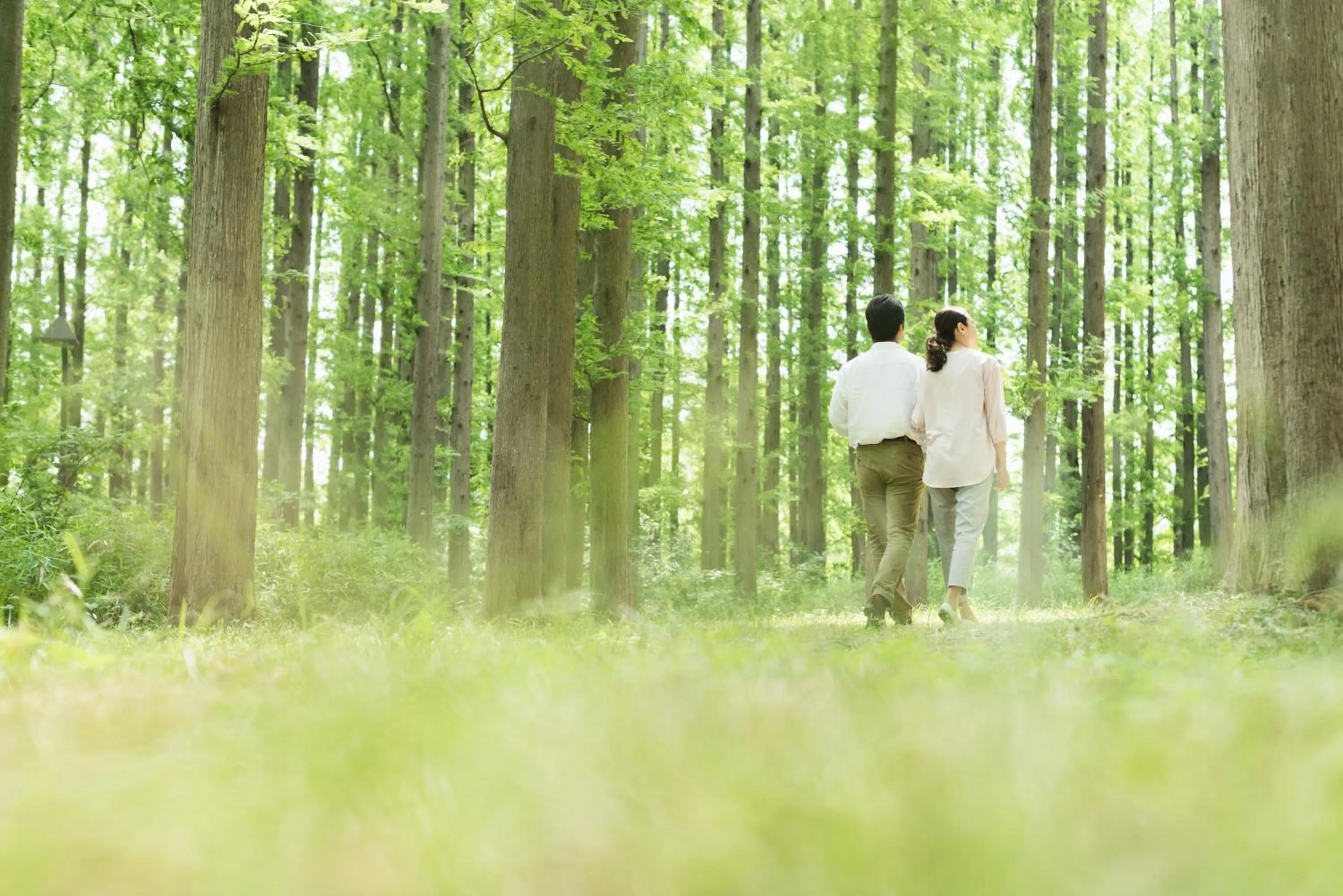 Other in Royal Hotel Munakata