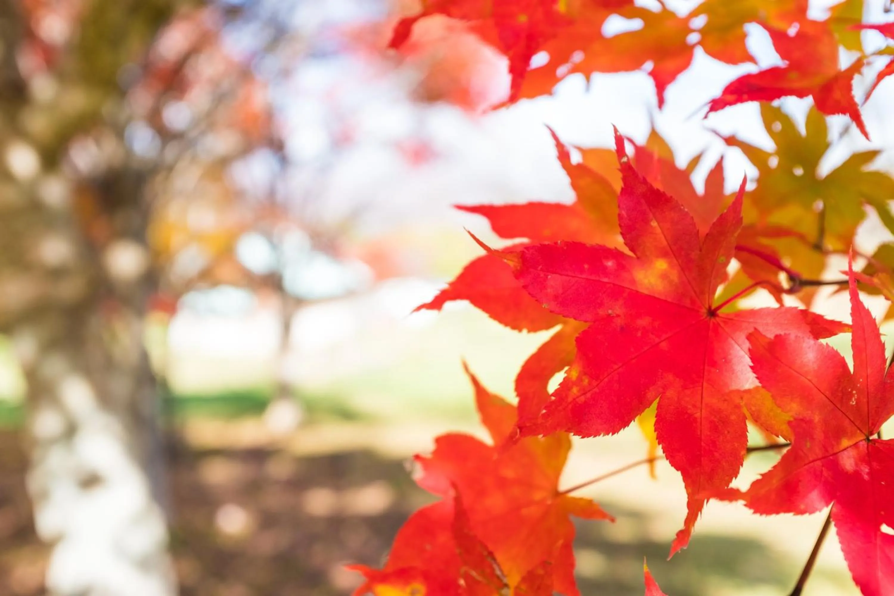 Other in Royal Hotel Munakata