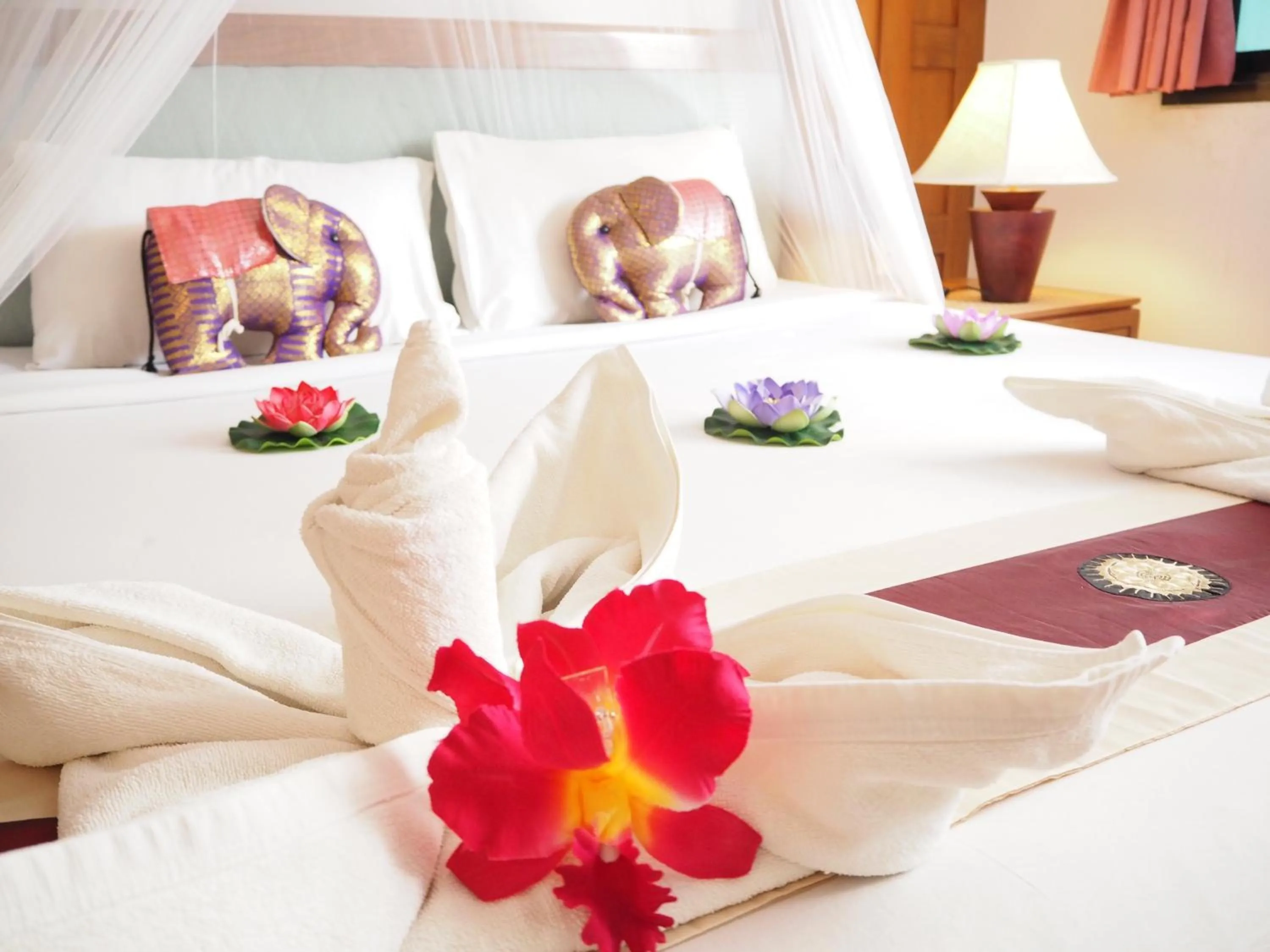 Bed in Your Place Inn