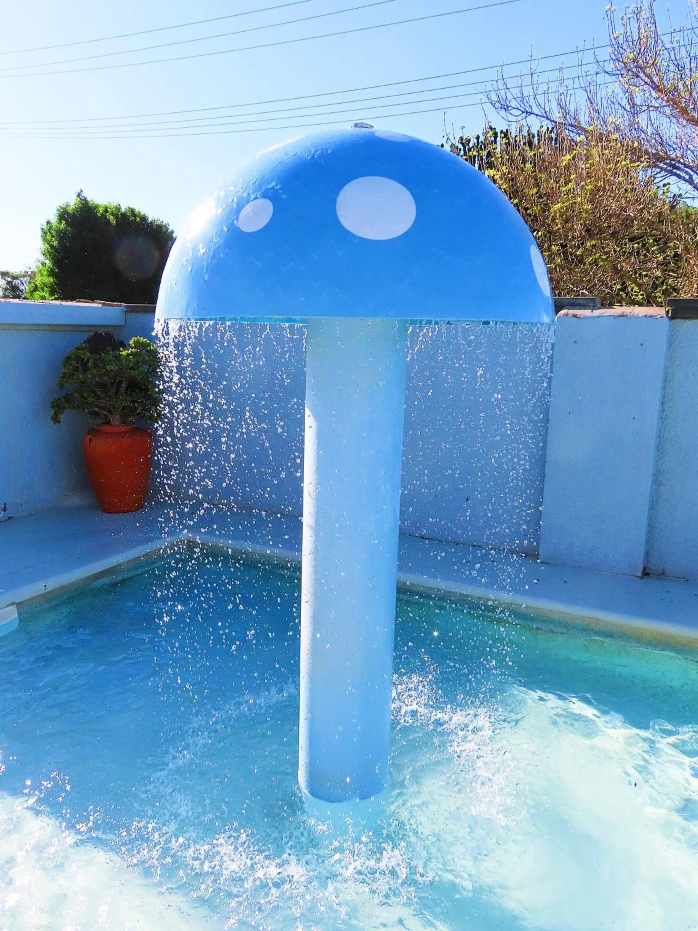 Swimming pool in BIG4 Toowoomba Garden City Holiday Park