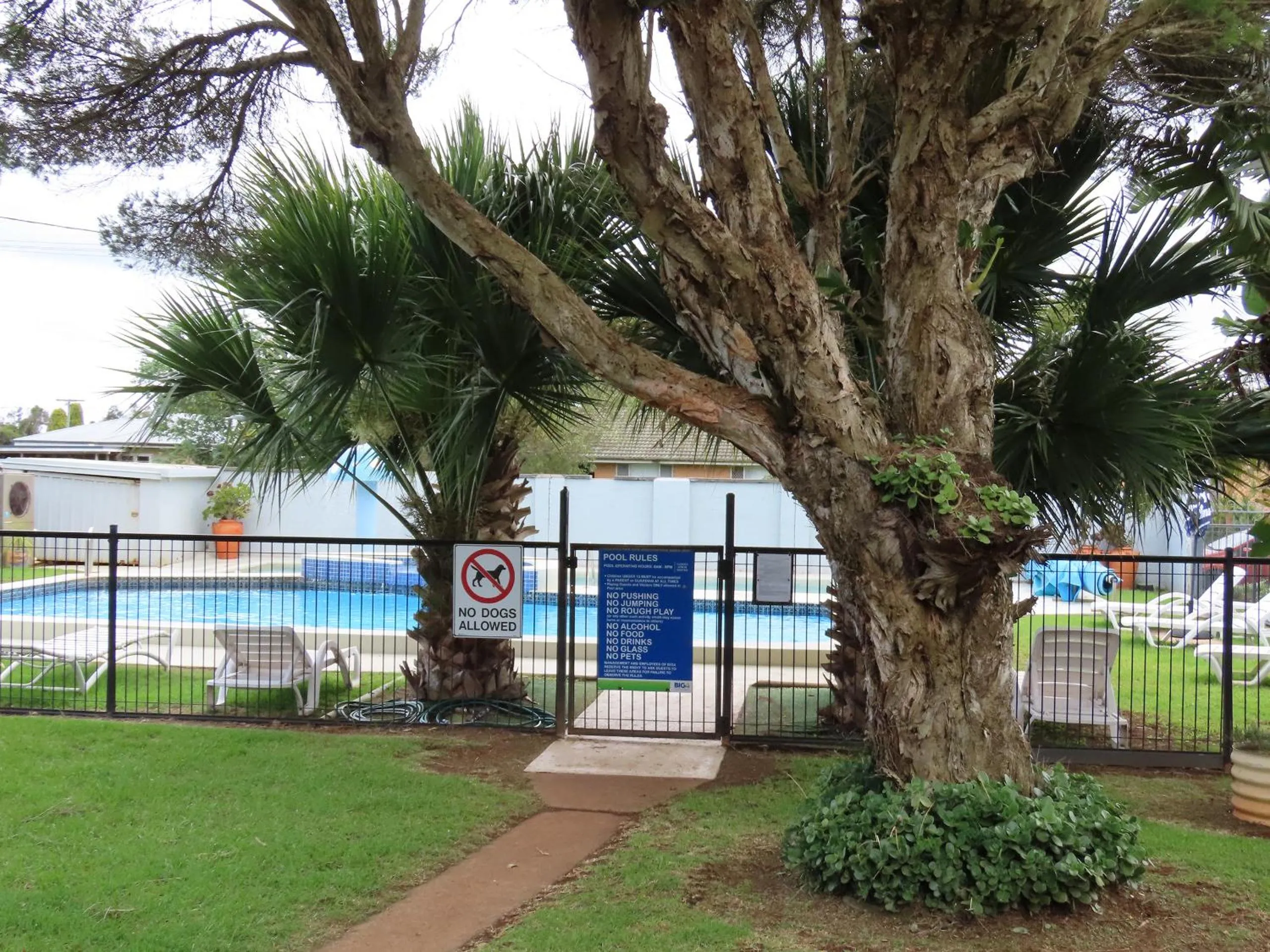 Swimming pool in BIG4 Toowoomba Garden City Holiday Park