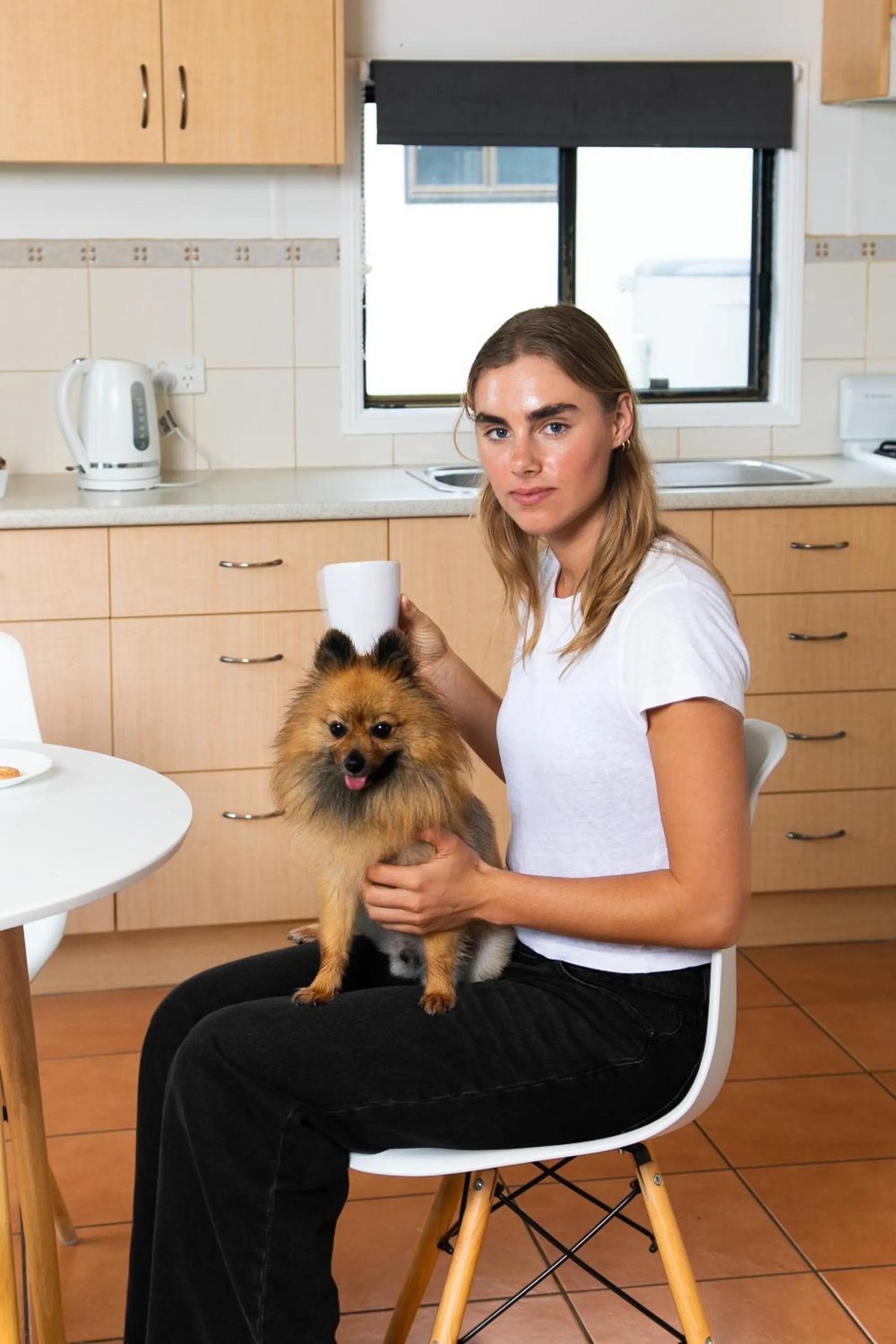 pet friendly in BIG4 Toowoomba Garden City Holiday Park