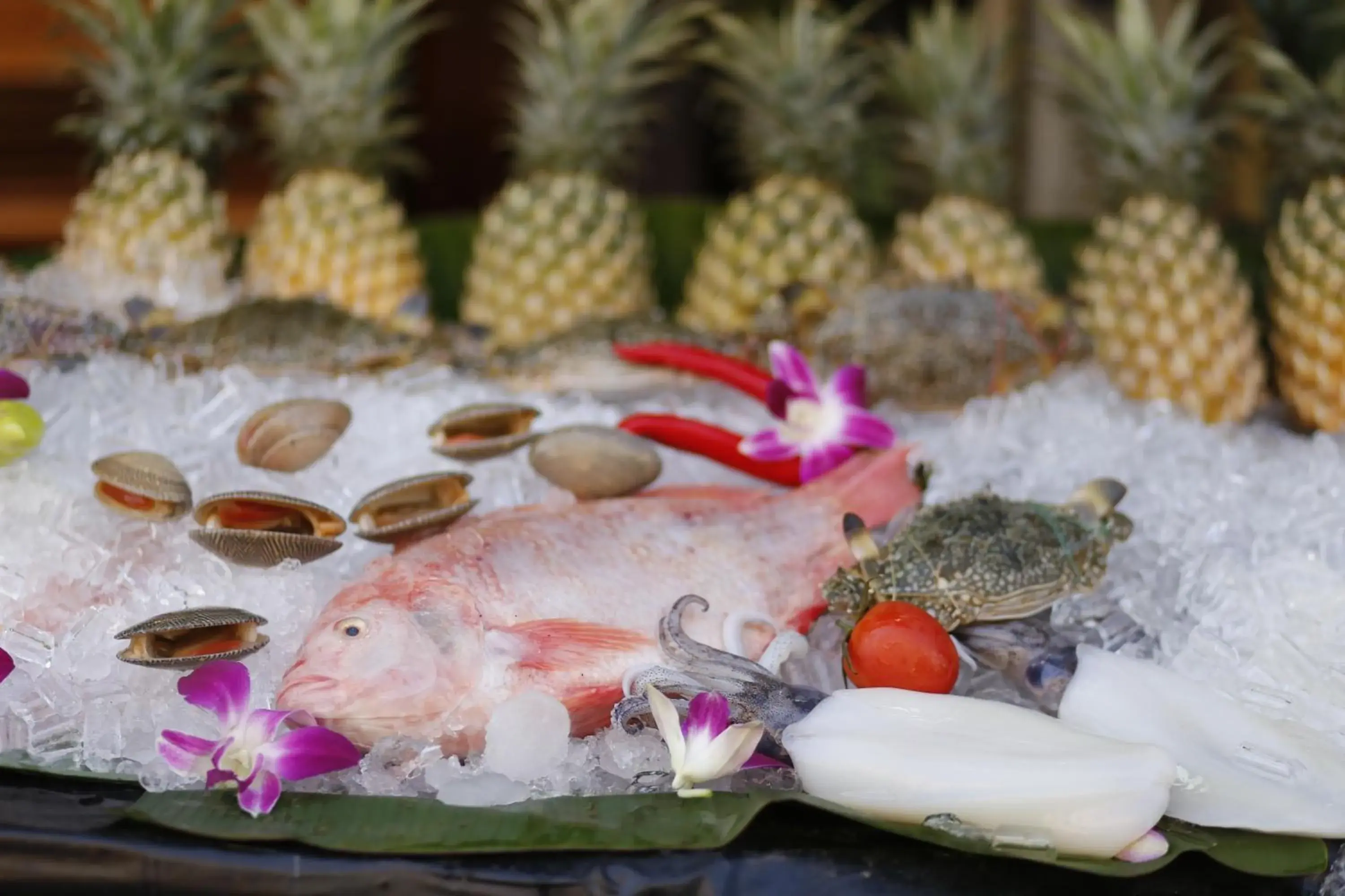 Restaurant/places to eat in Baan Kamala Fantasea Hotel Restaurant/places to eat in Baan Kamala Fantasea Hotel