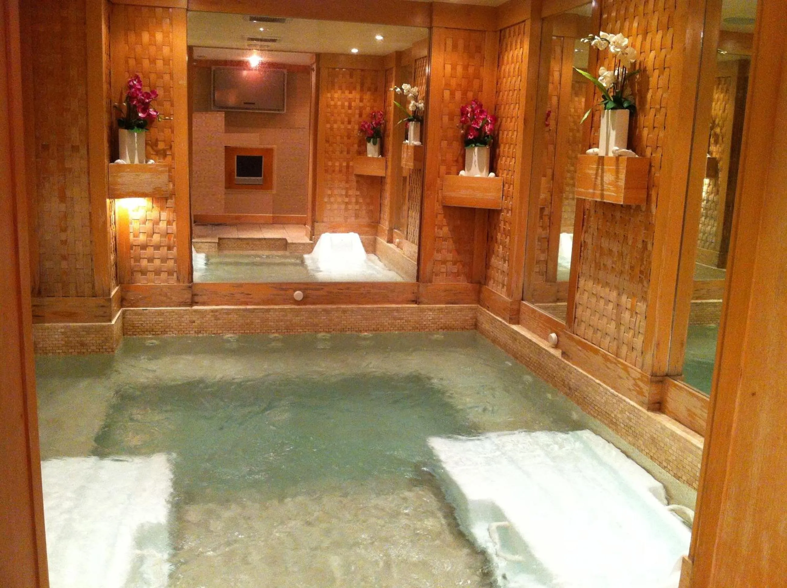 Hot Spring Bath, Swimming Pool in Issham Hotel