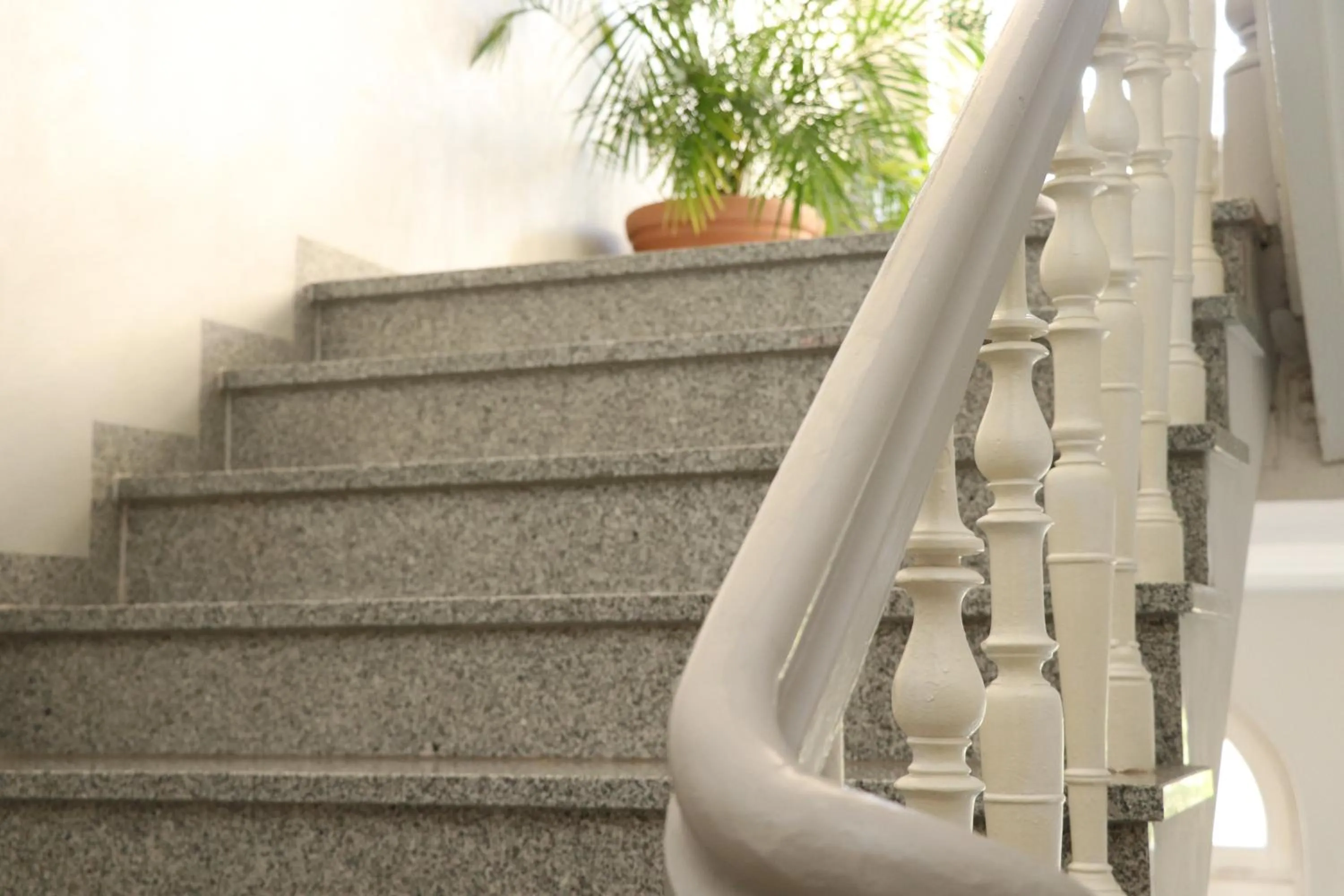 Other in OPERA Hostel