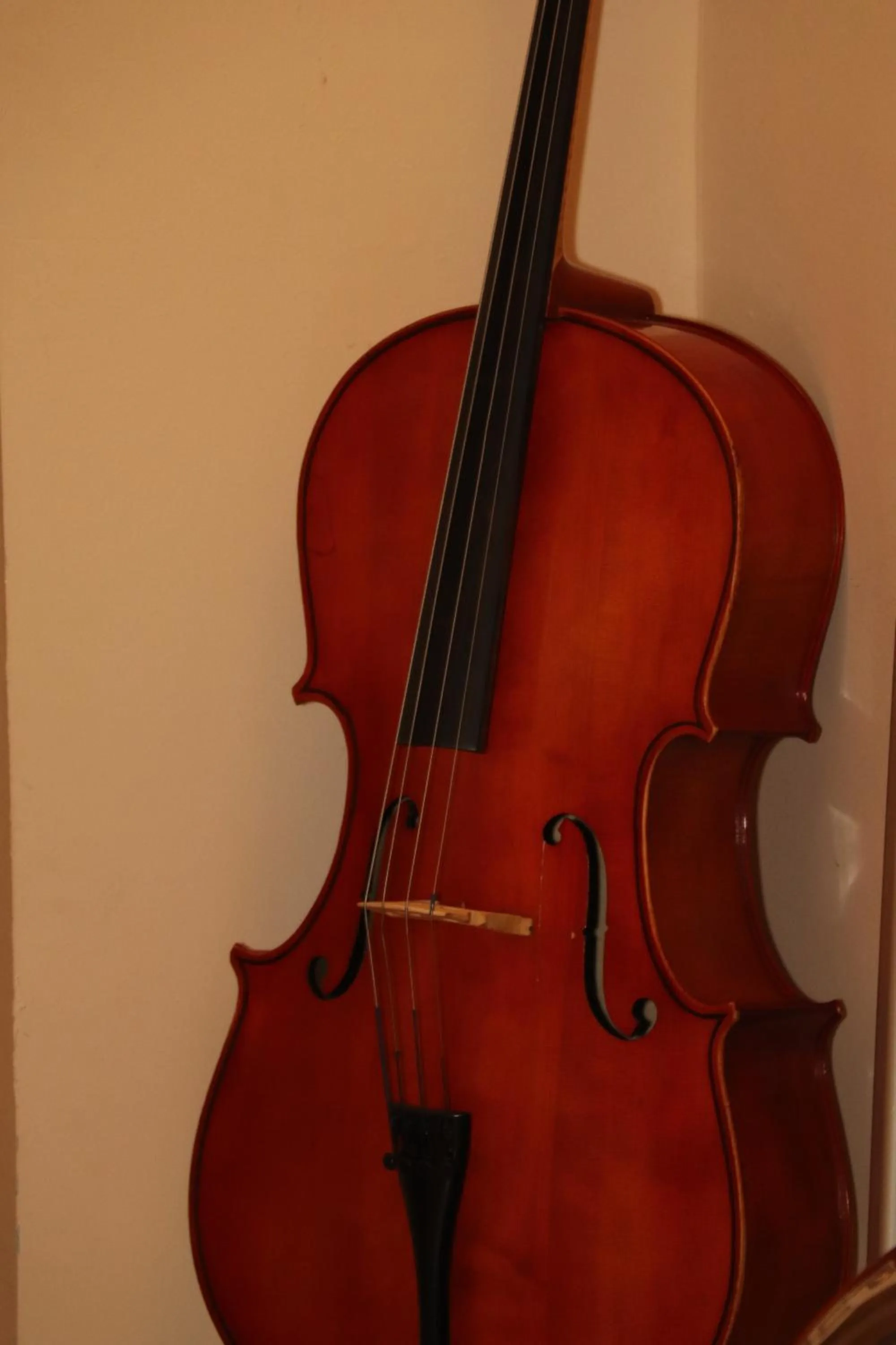 Decorative detail in OPERA Hostel