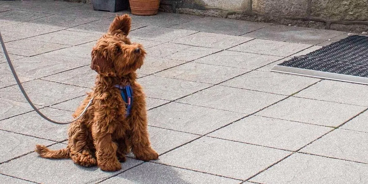 Property building in Cape Cornwall Club