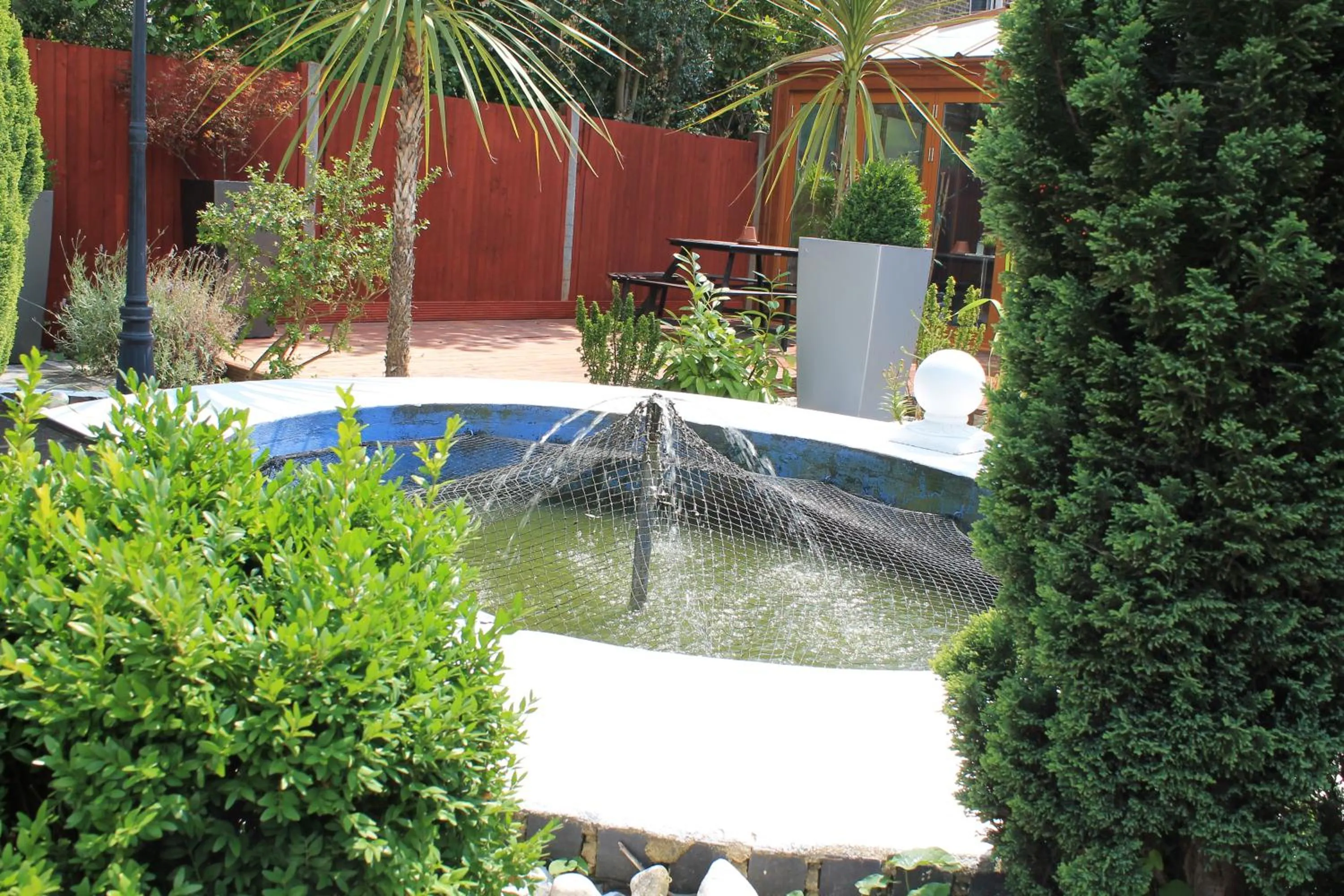 Garden in Skylark Guest House