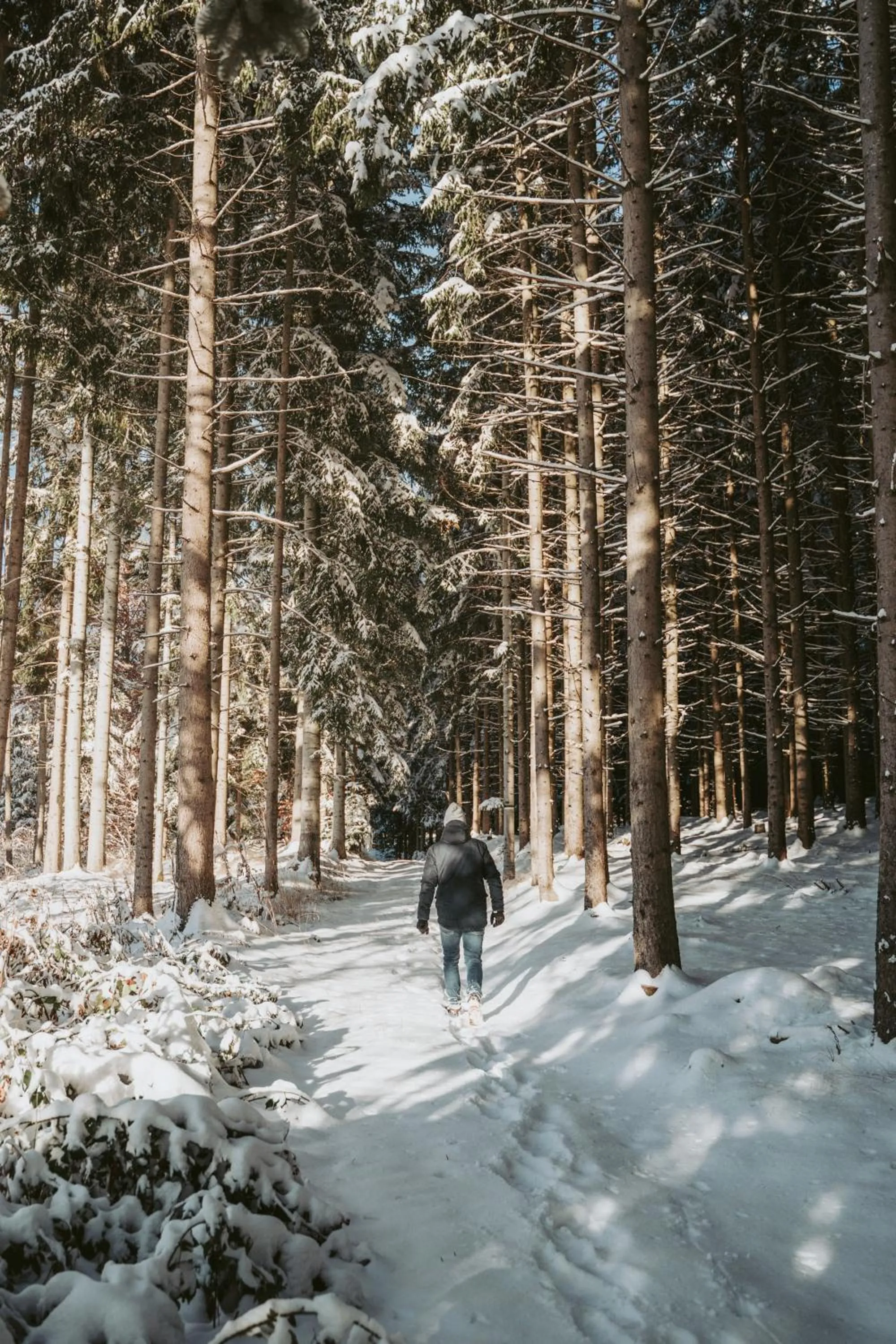 Winter in Mein Hotel Fast