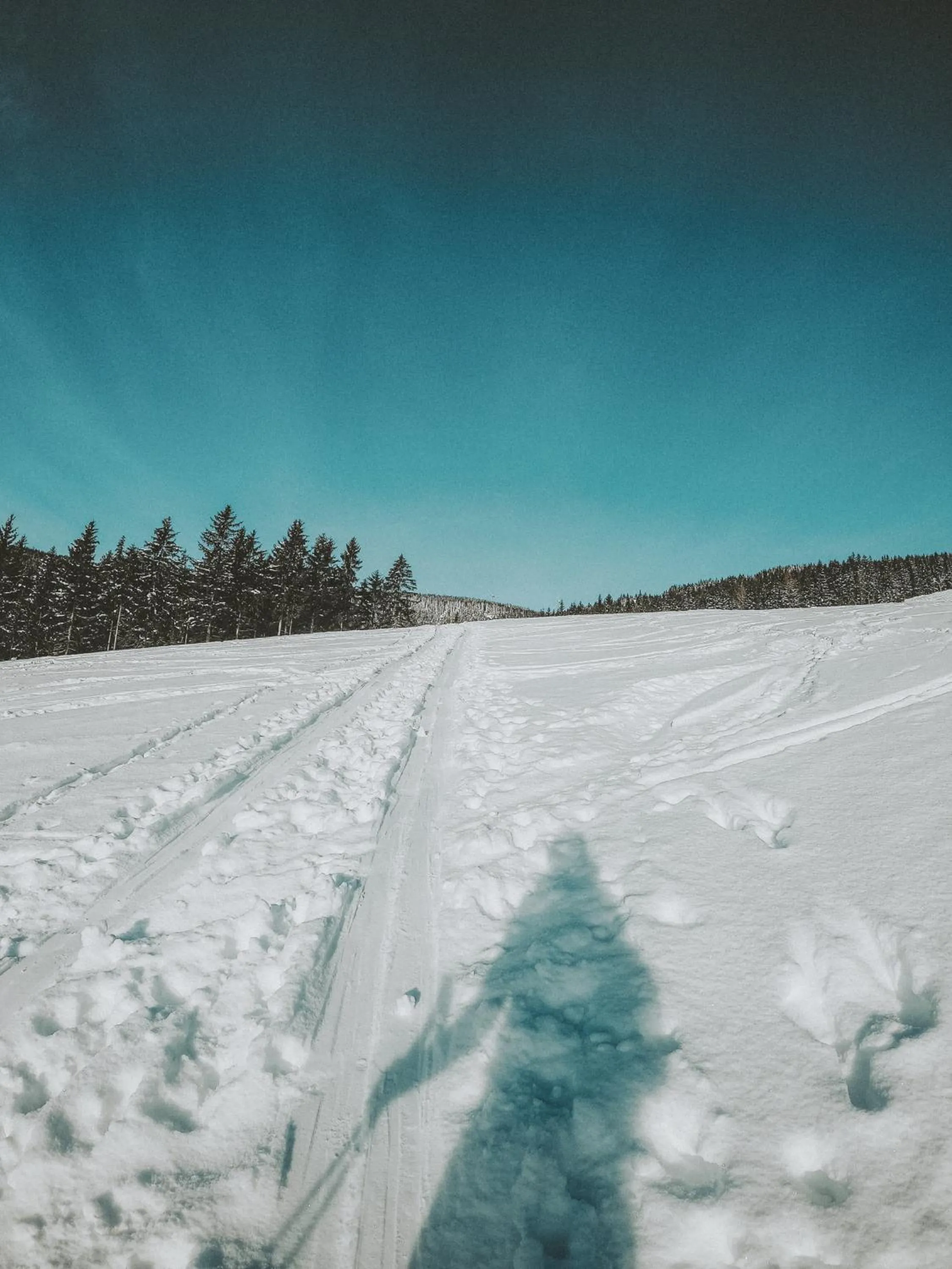 Winter in Mein Hotel Fast