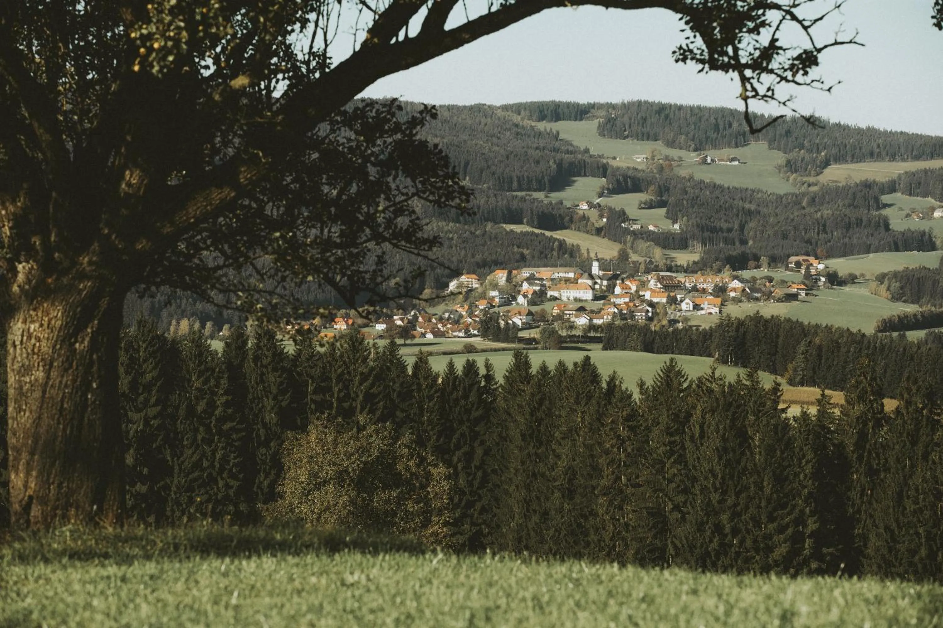 Natural landscape in Mein Hotel Fast