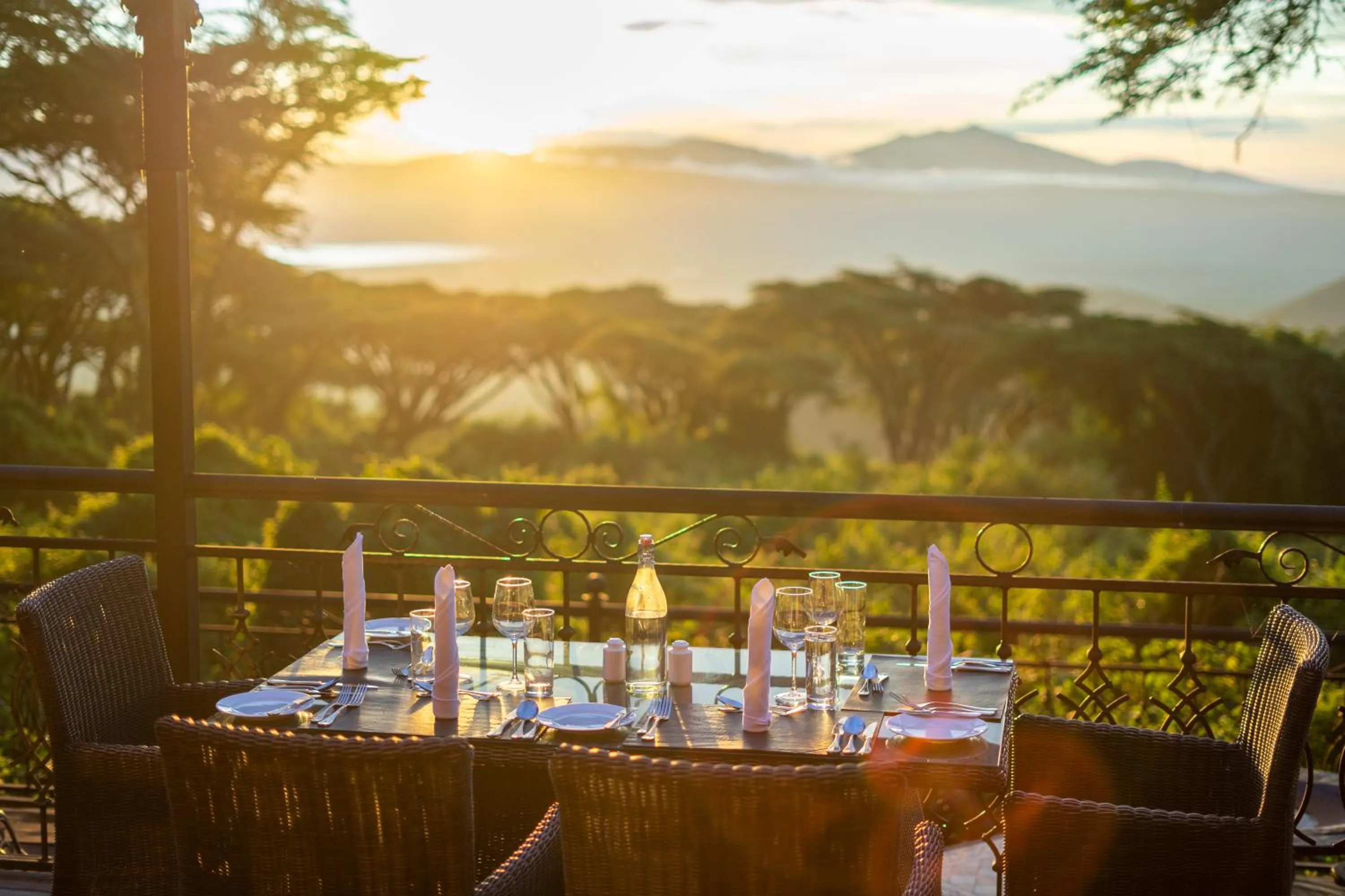 Breakfast in Ngorongoro Lion's Paw